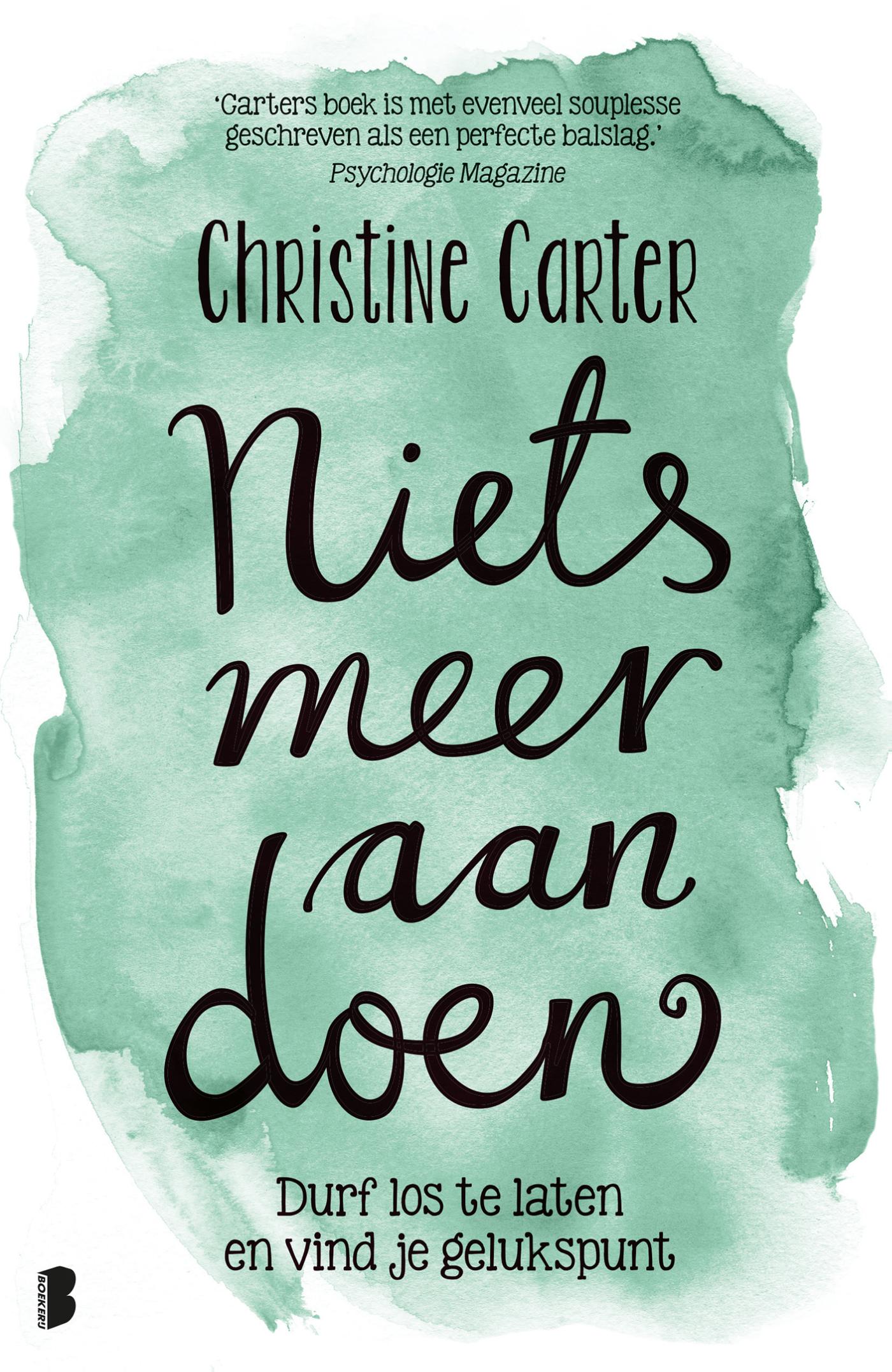 Omslag van Niets meer aan doen