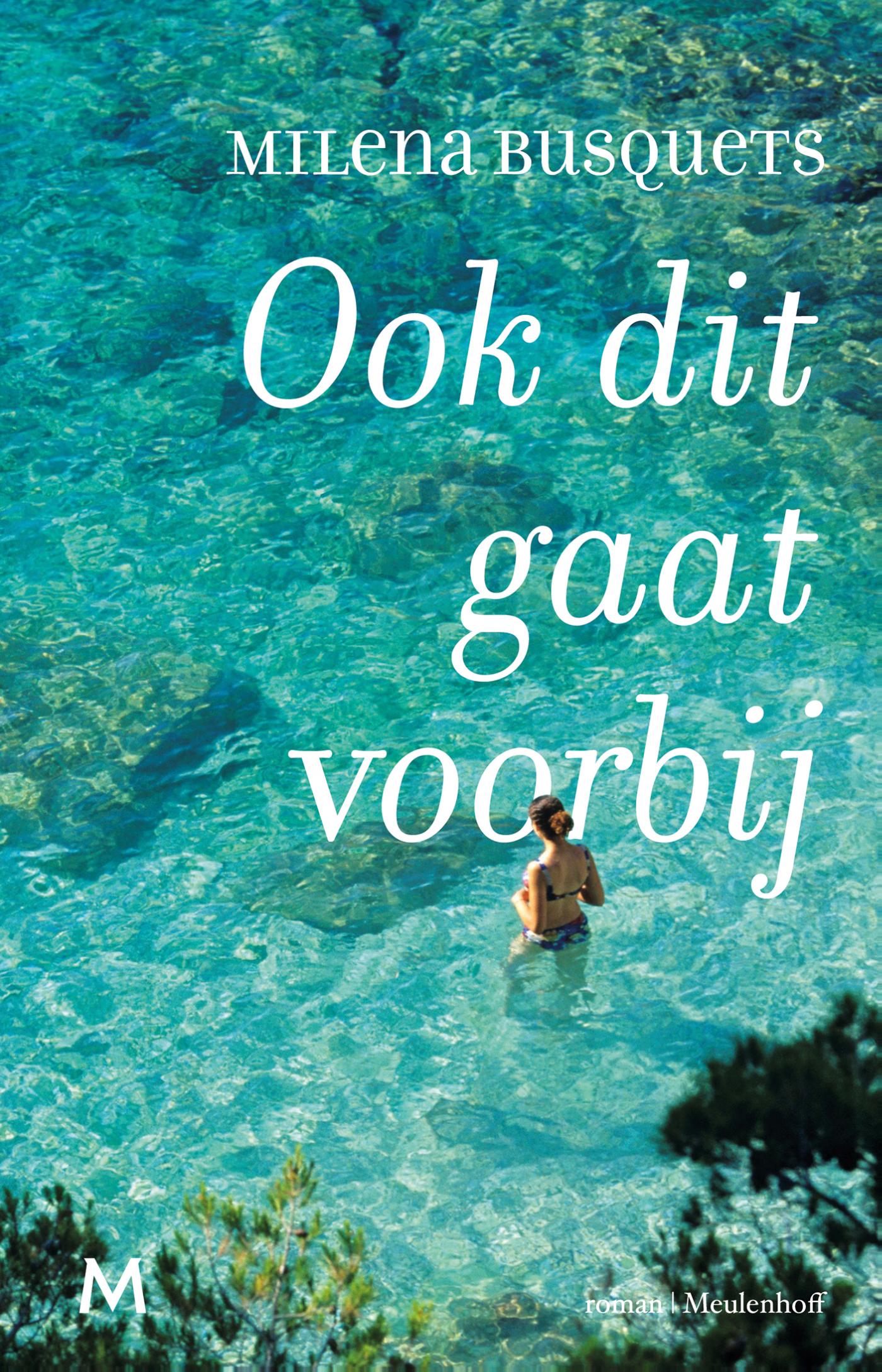 Omslag van Ook dit gaat voorbij