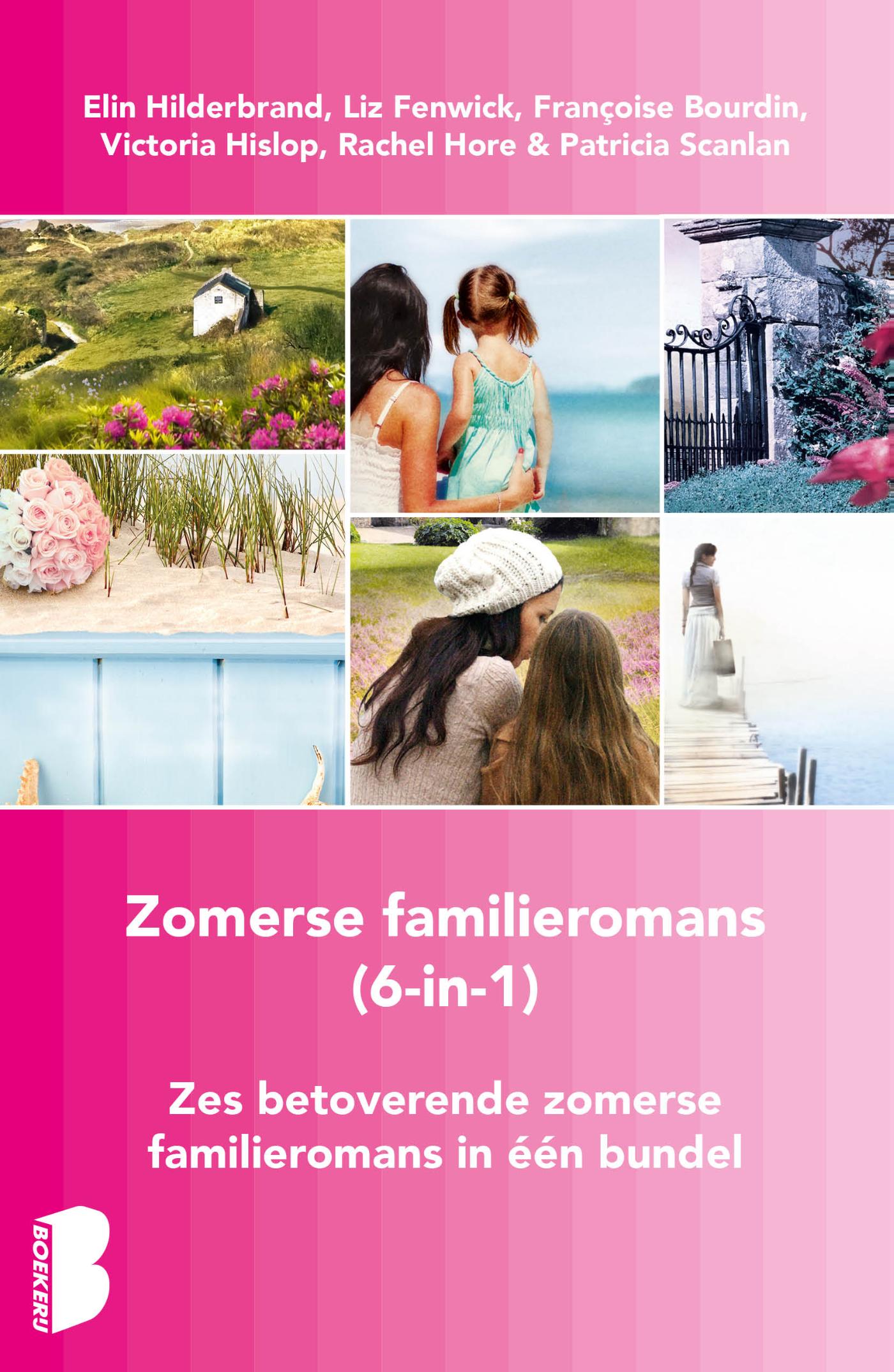 Omslag van Zomerse familieromans, 6-in-1-bundel