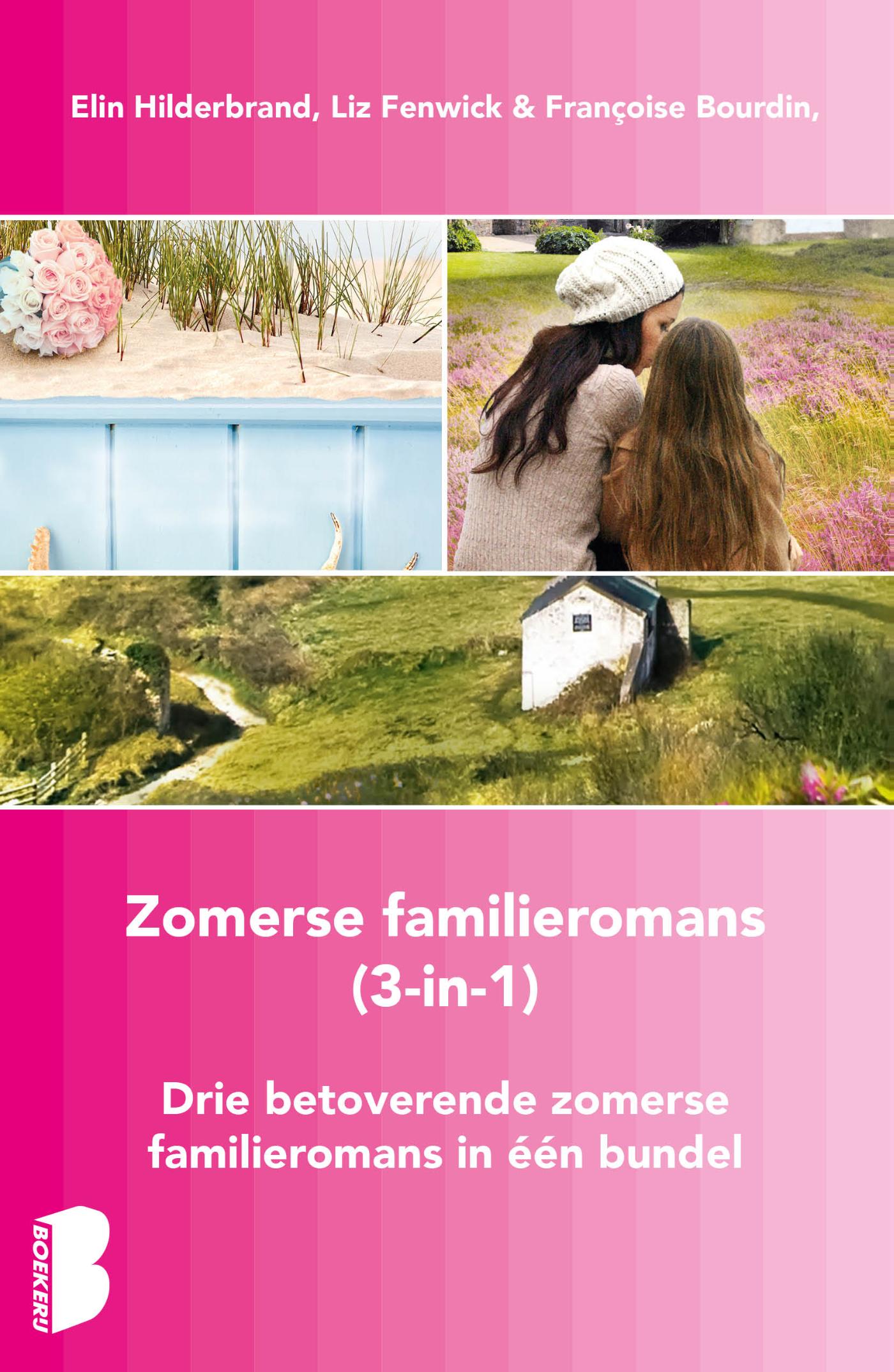 Omslag van Zomerse familieromans, 3-in-1-bundel