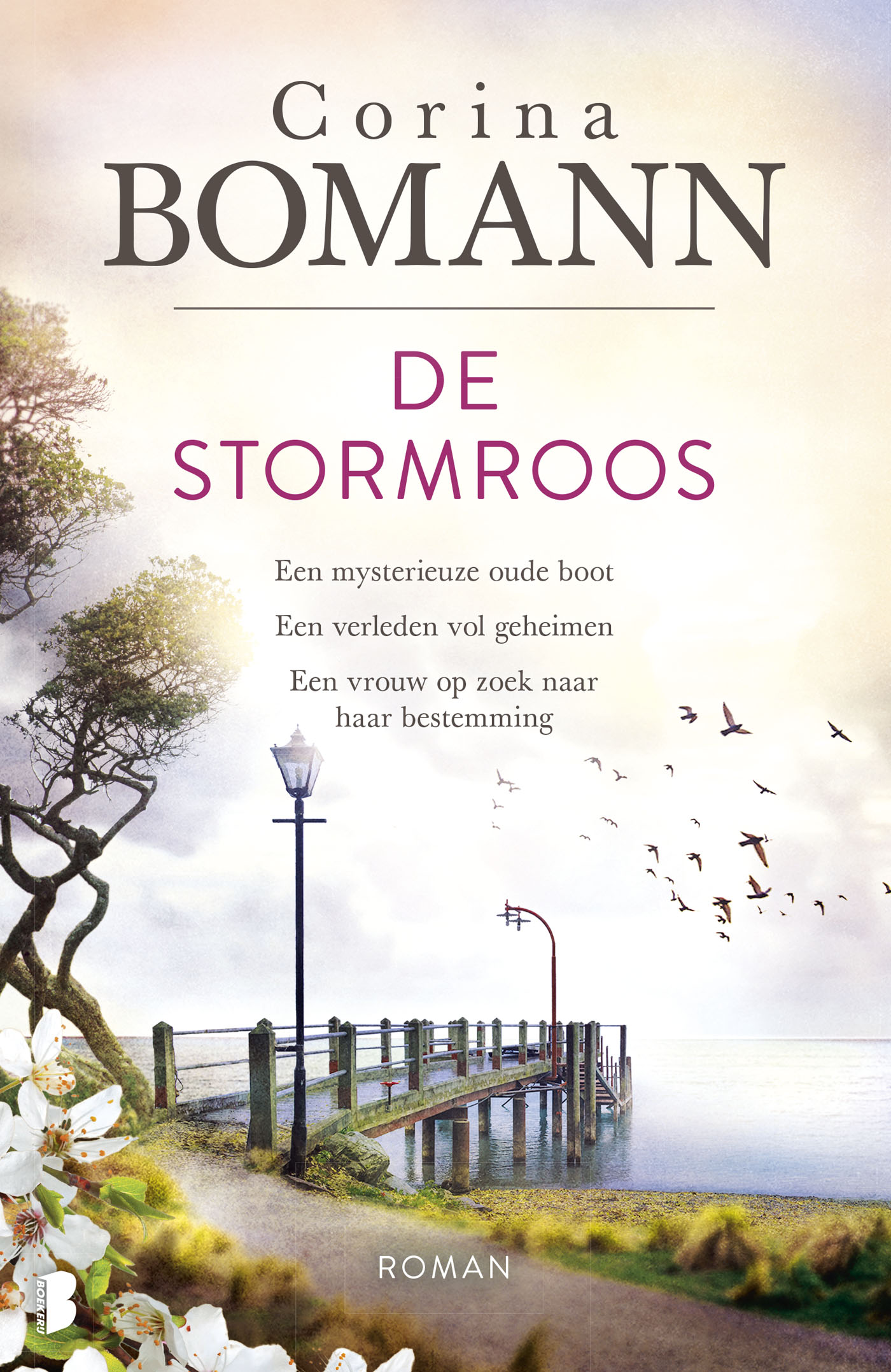 Omslag van De stormroos