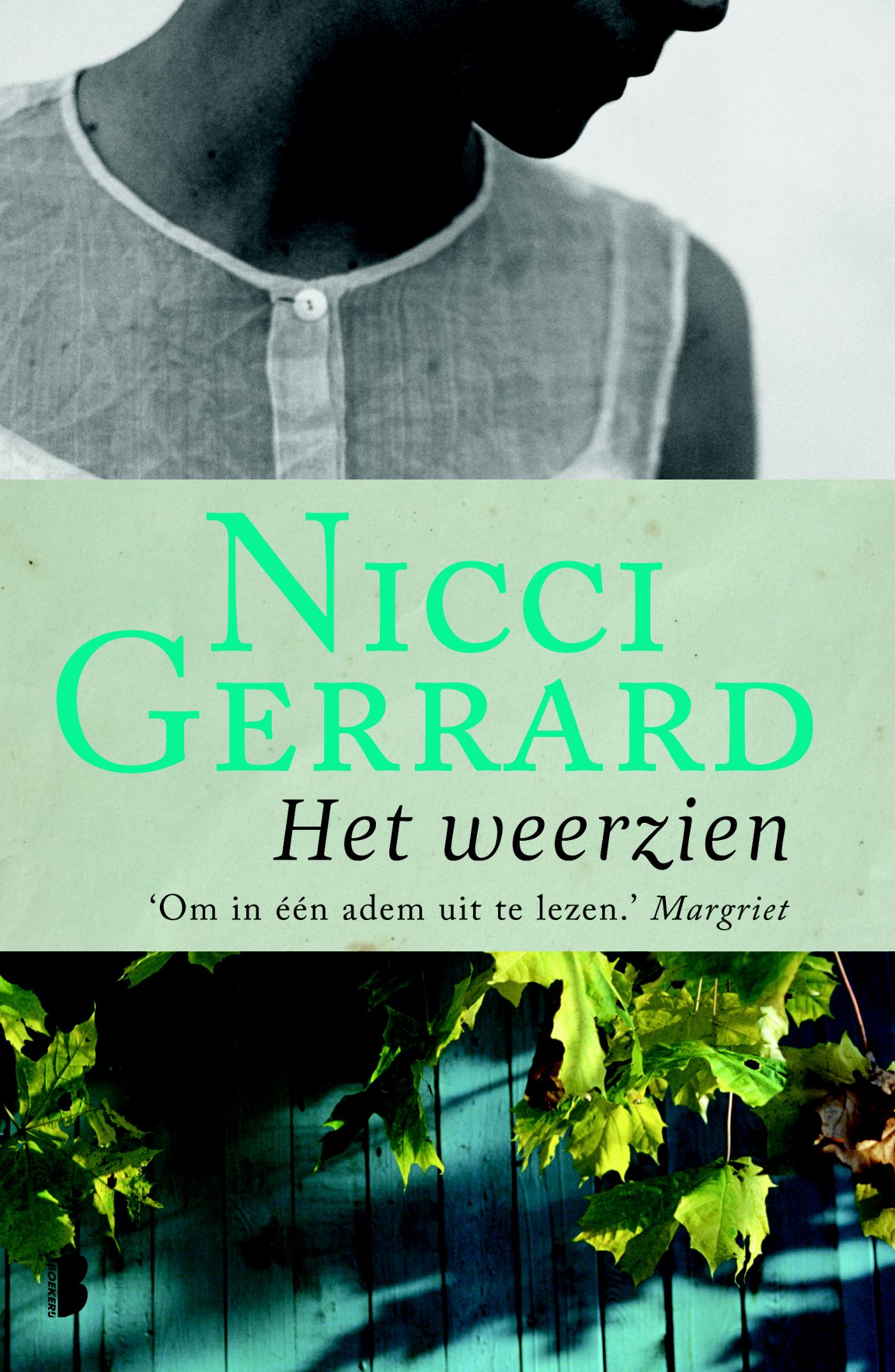 Omslag van Het weerzien