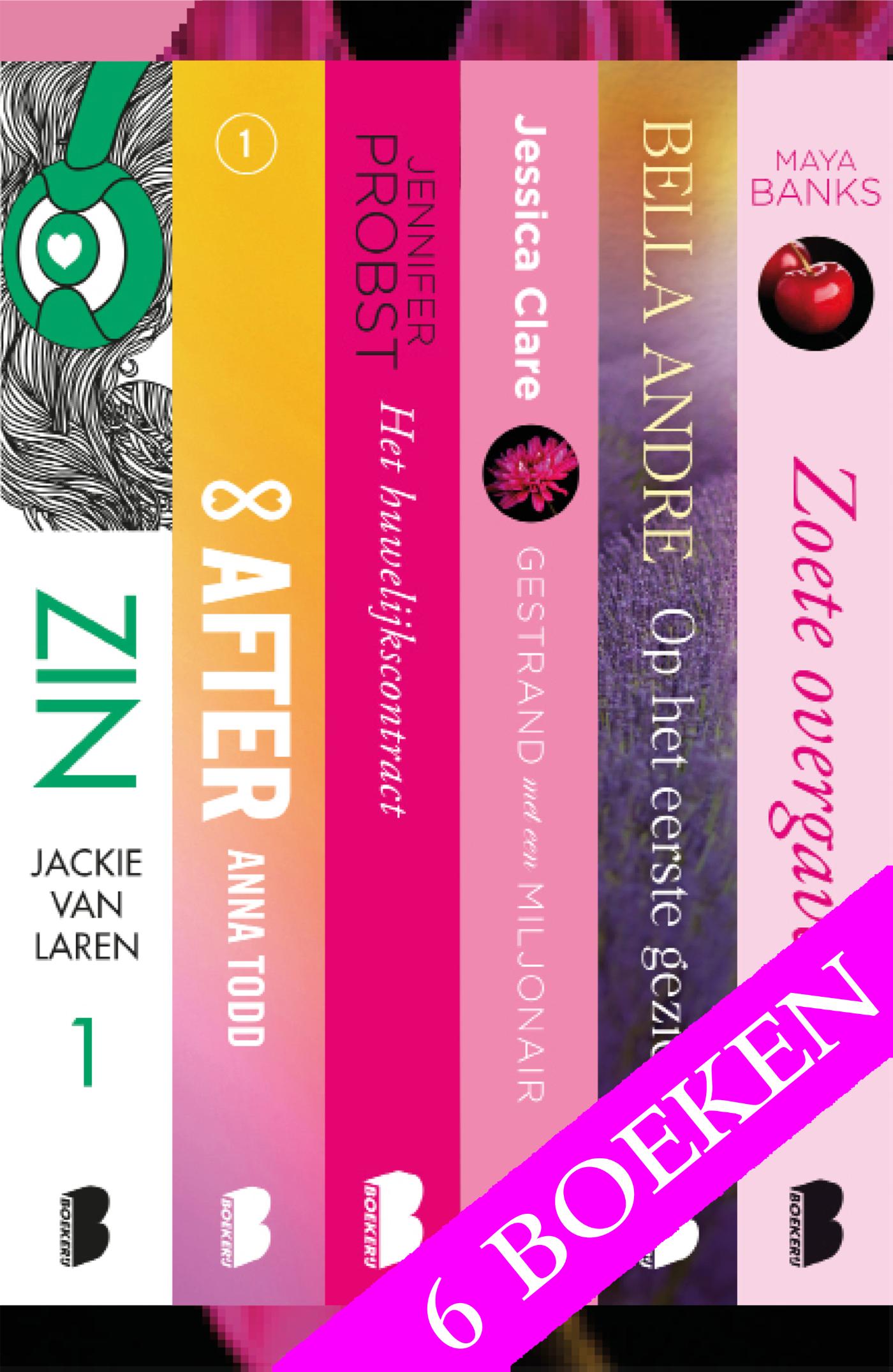 Omslag van Zinderende liefdesromans (6-in-1)