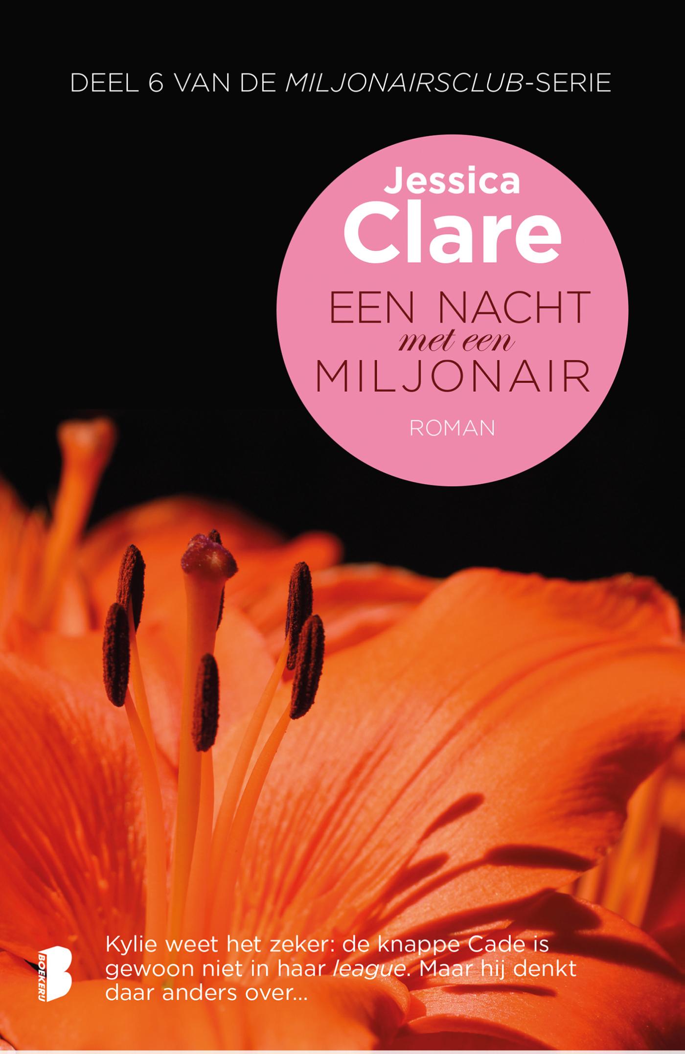 Omslag van Een nacht met een miljonair