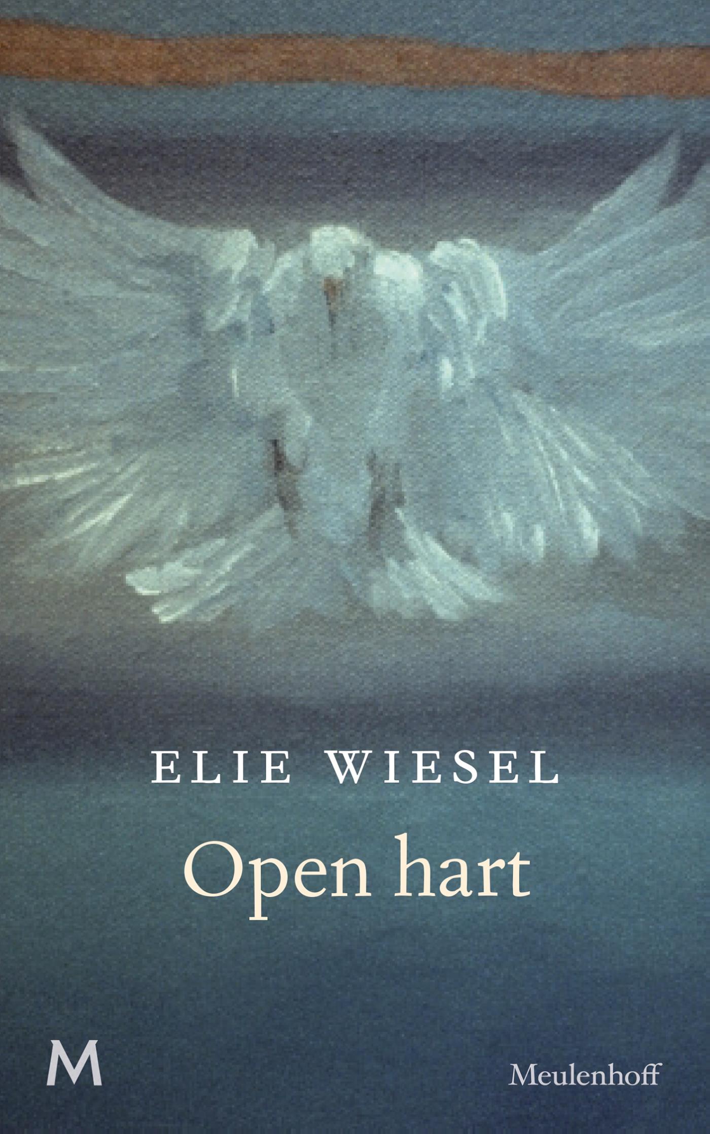 Omslag van Open hart