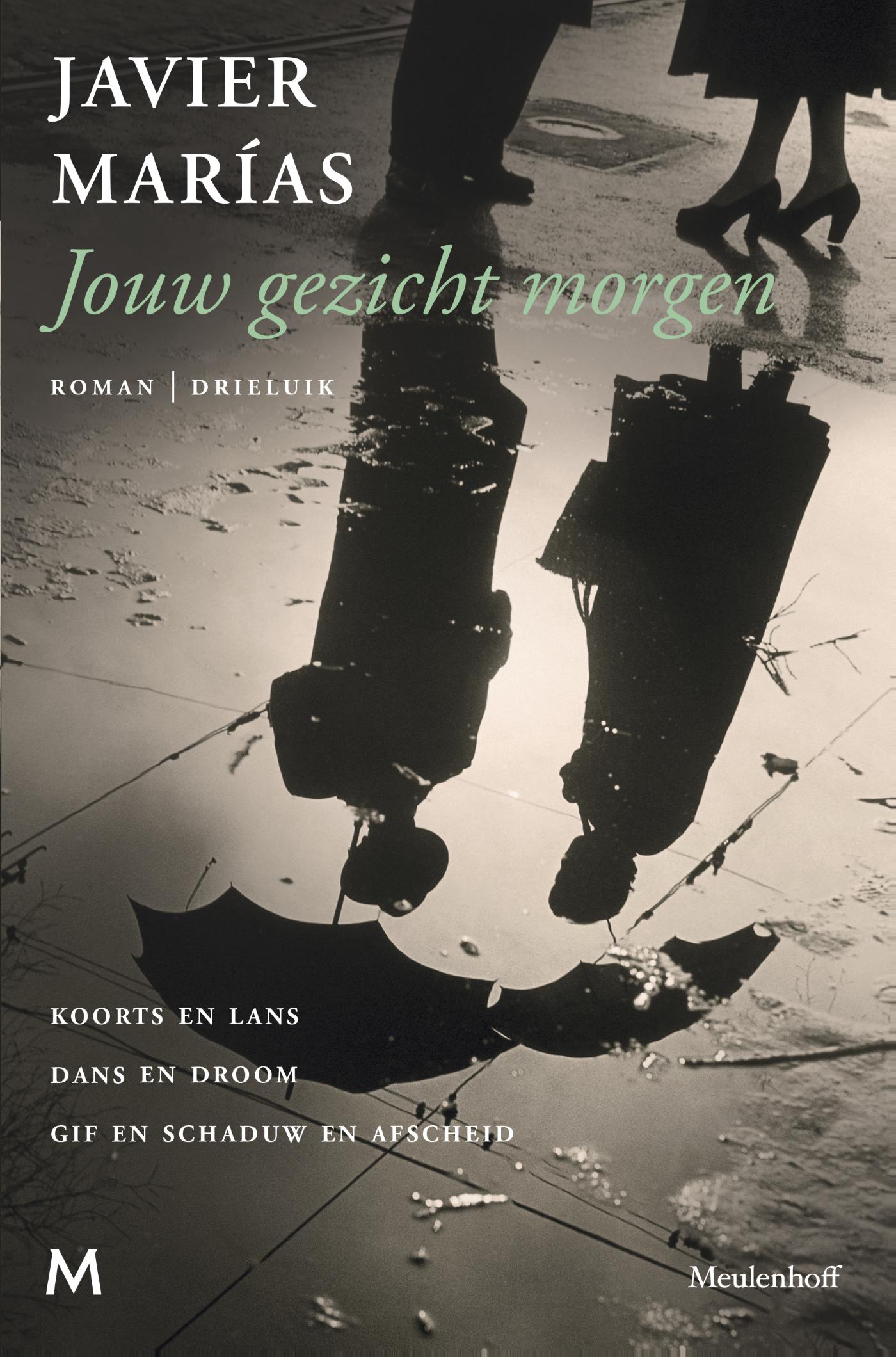 Omslag van Jouw gezicht morgen