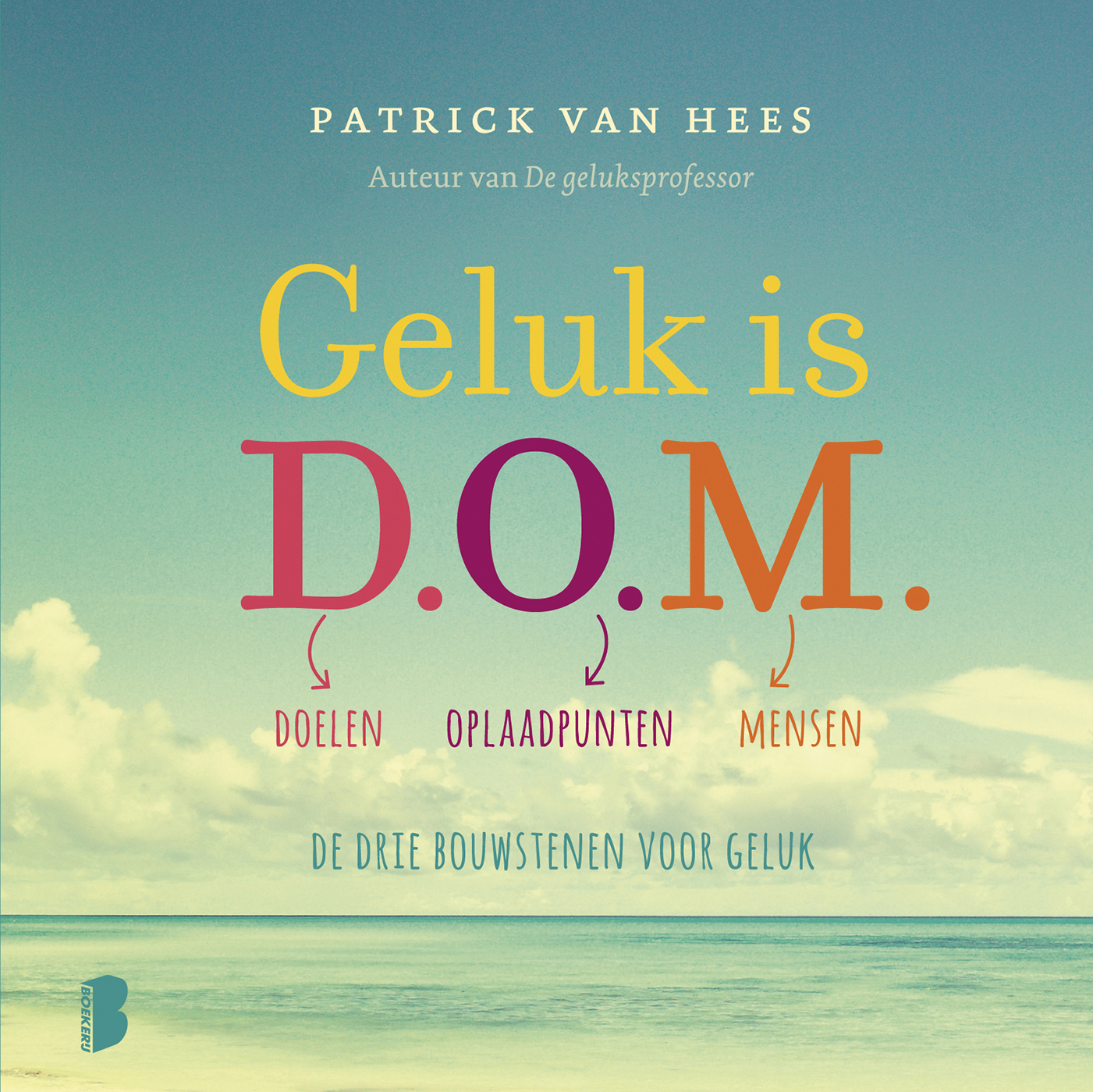 Omslag van Geluk is D.O.M.