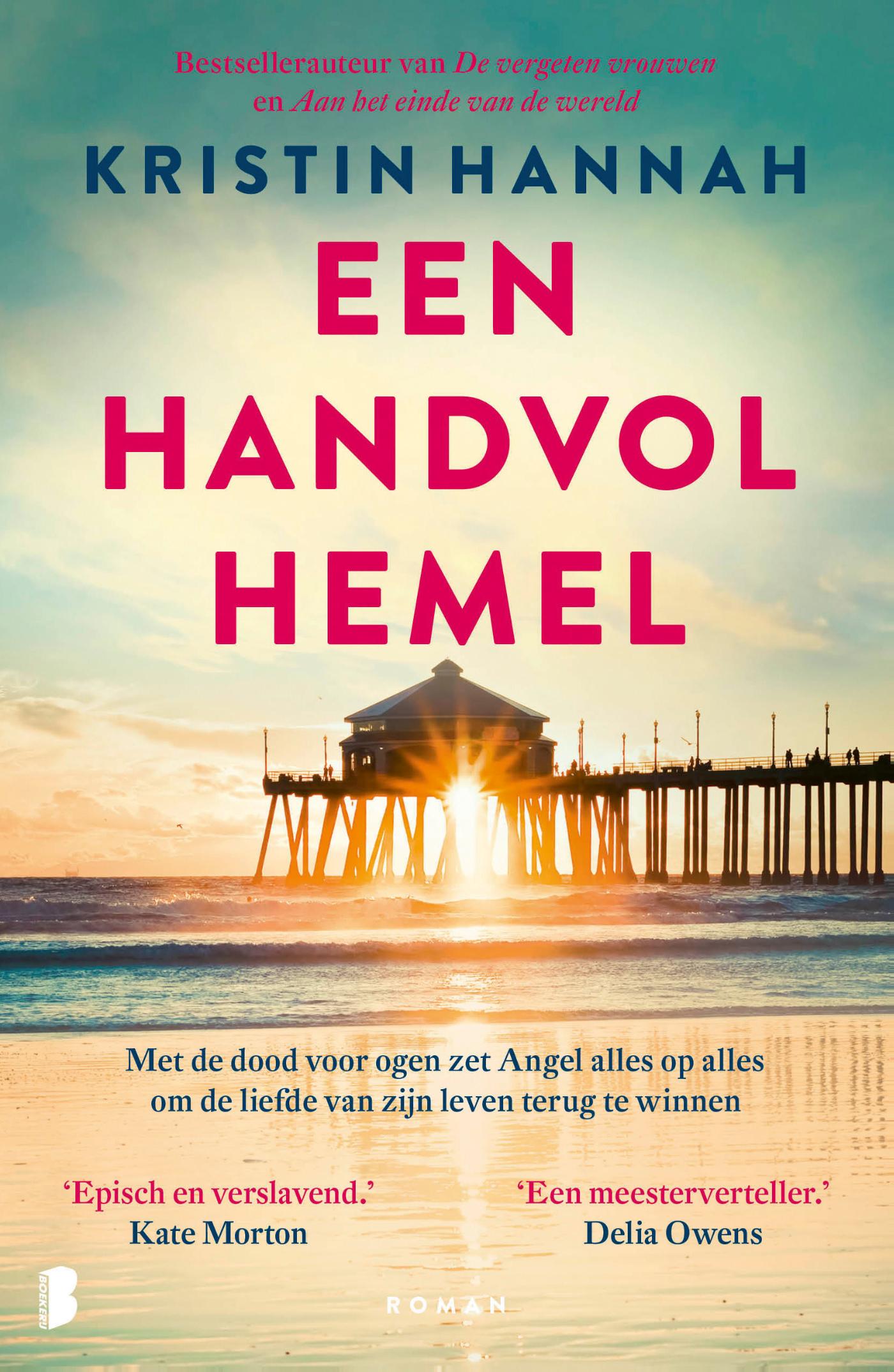 Omslag van Een handvol hemel