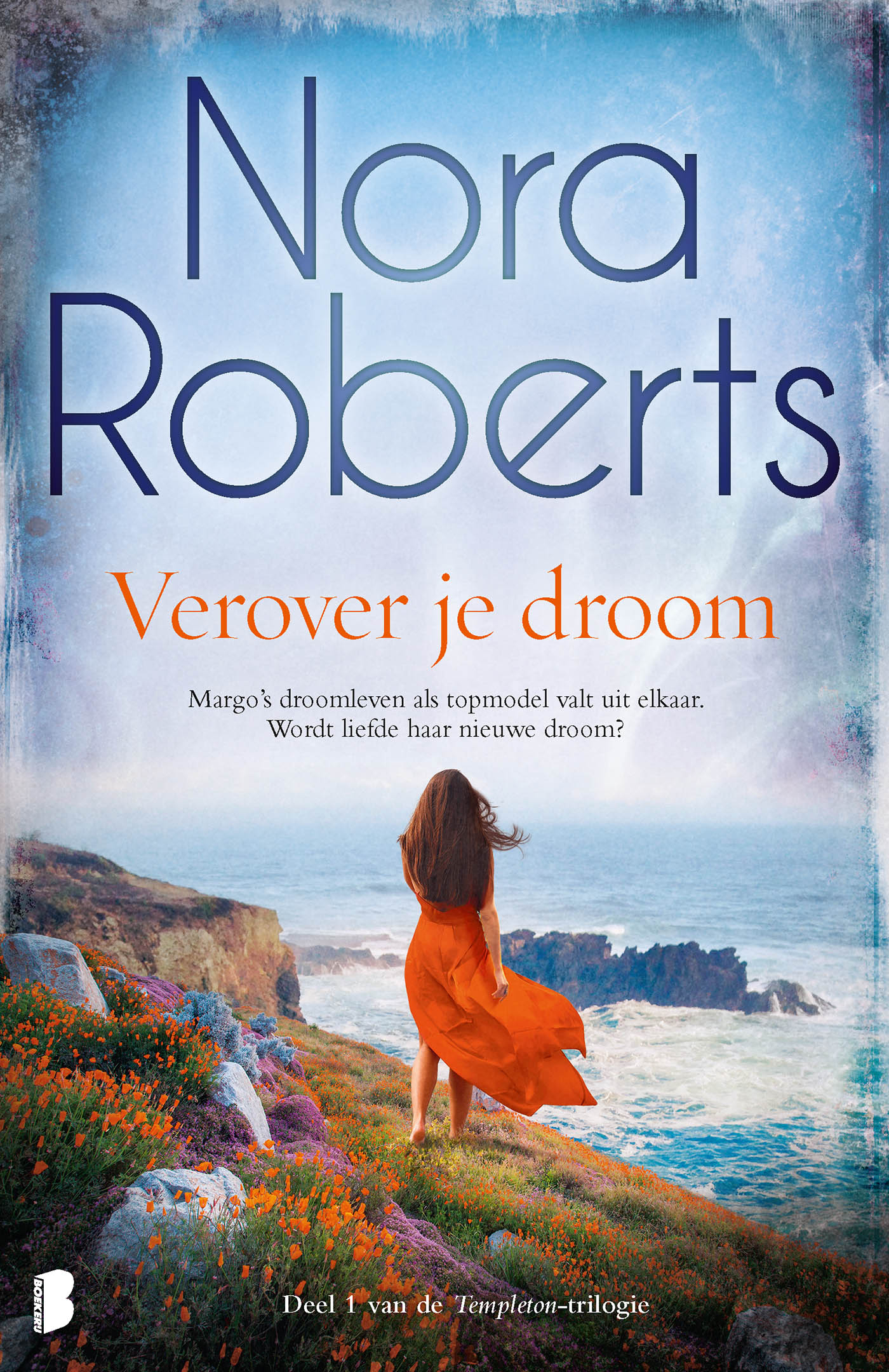 Omslag van Verover je droom
