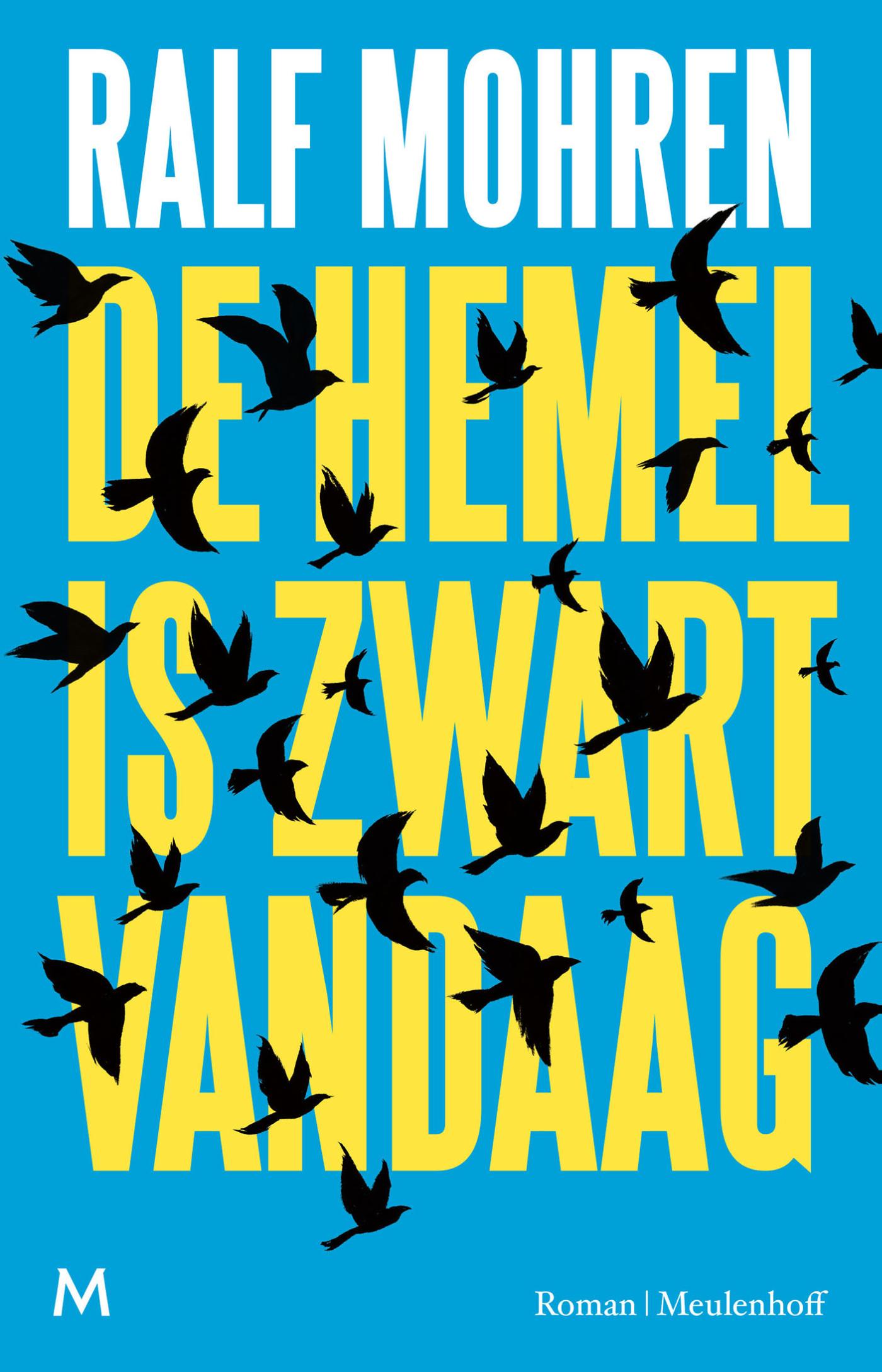 Omslag van De hemel is zwart vandaag