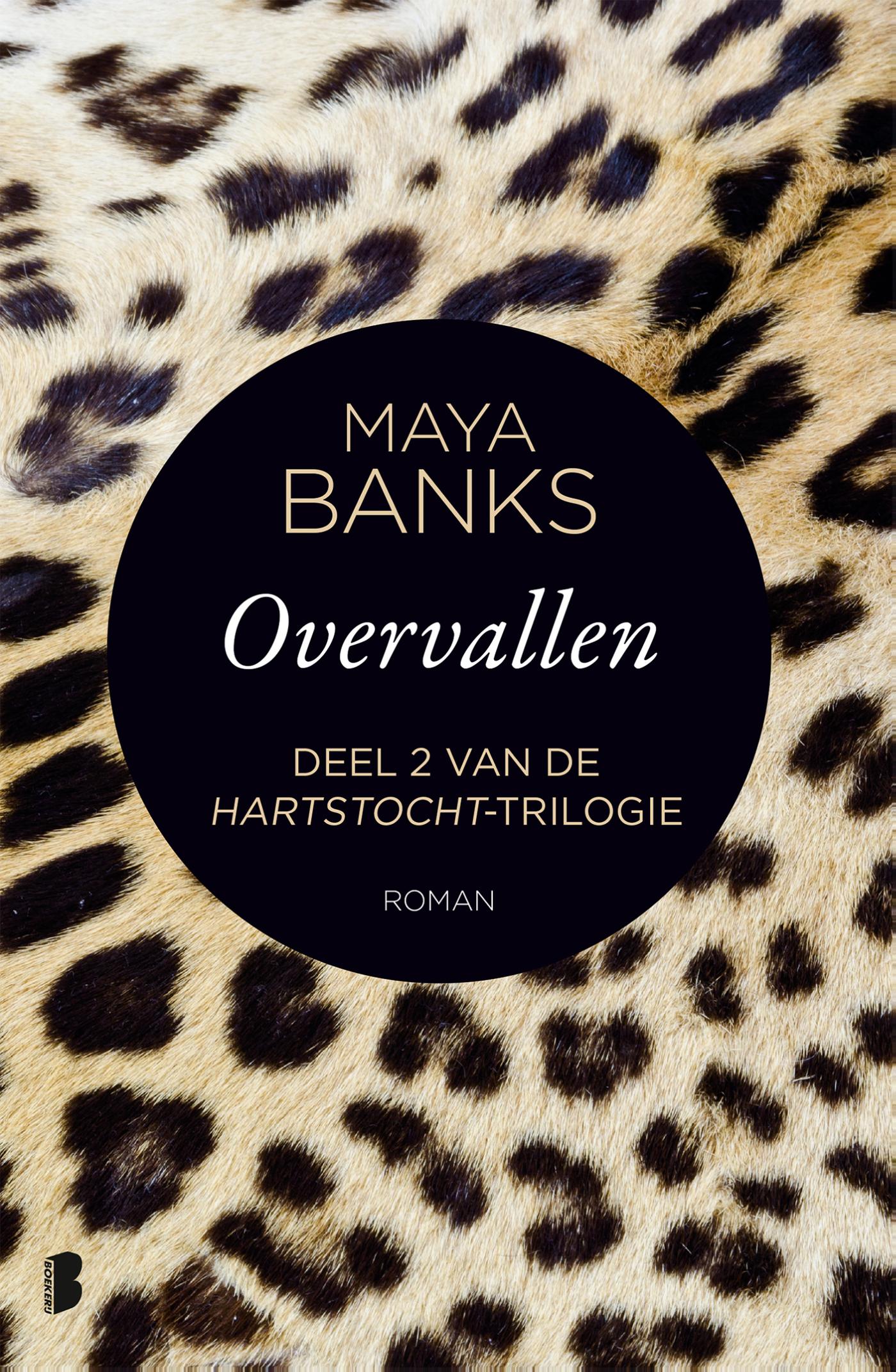 Omslag van Overvallen