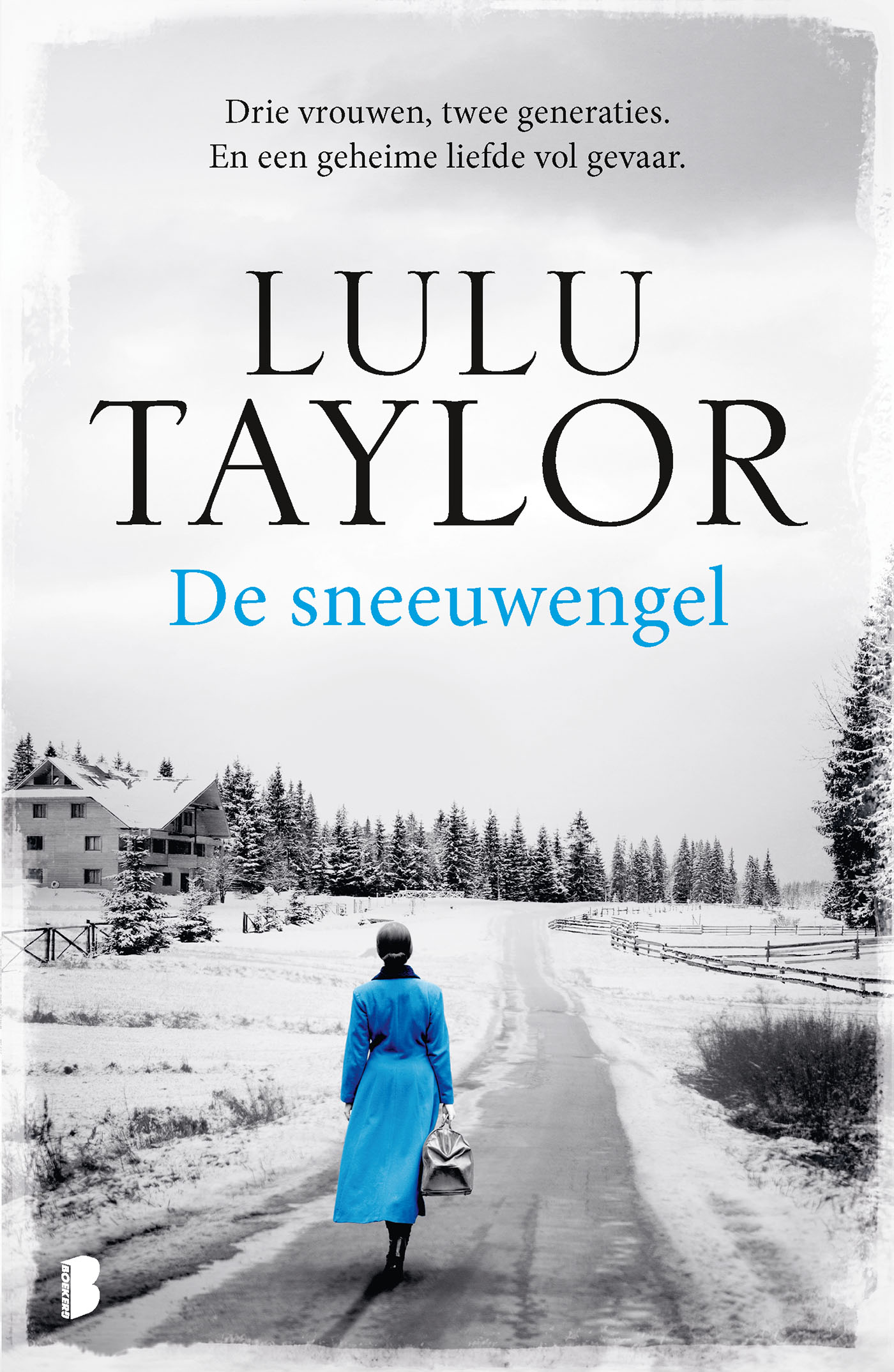 Omslag van De sneeuwengel