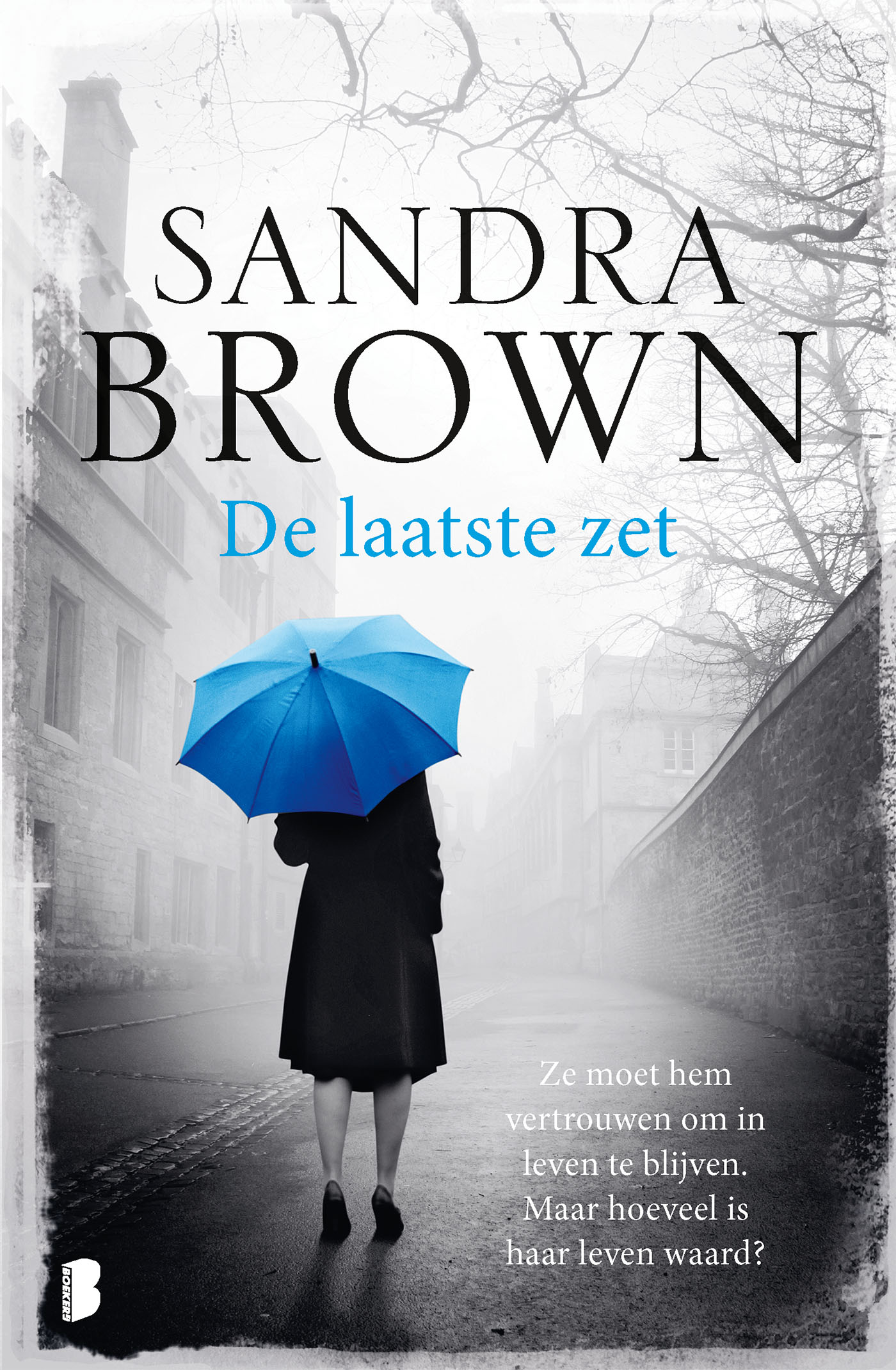 Omslag van De laatste zet