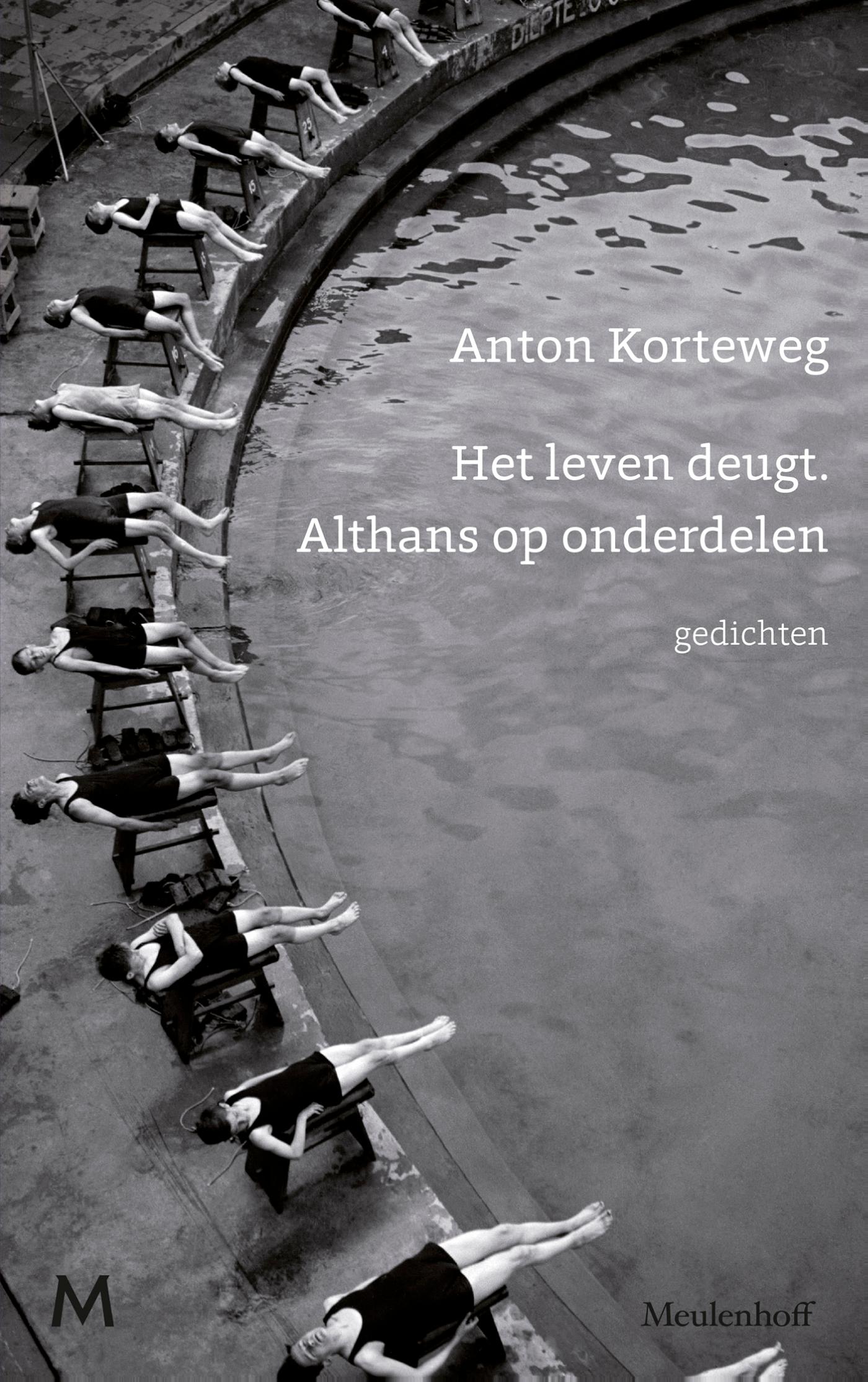 Omslag van Het leven deugt. Althans op onderdelen