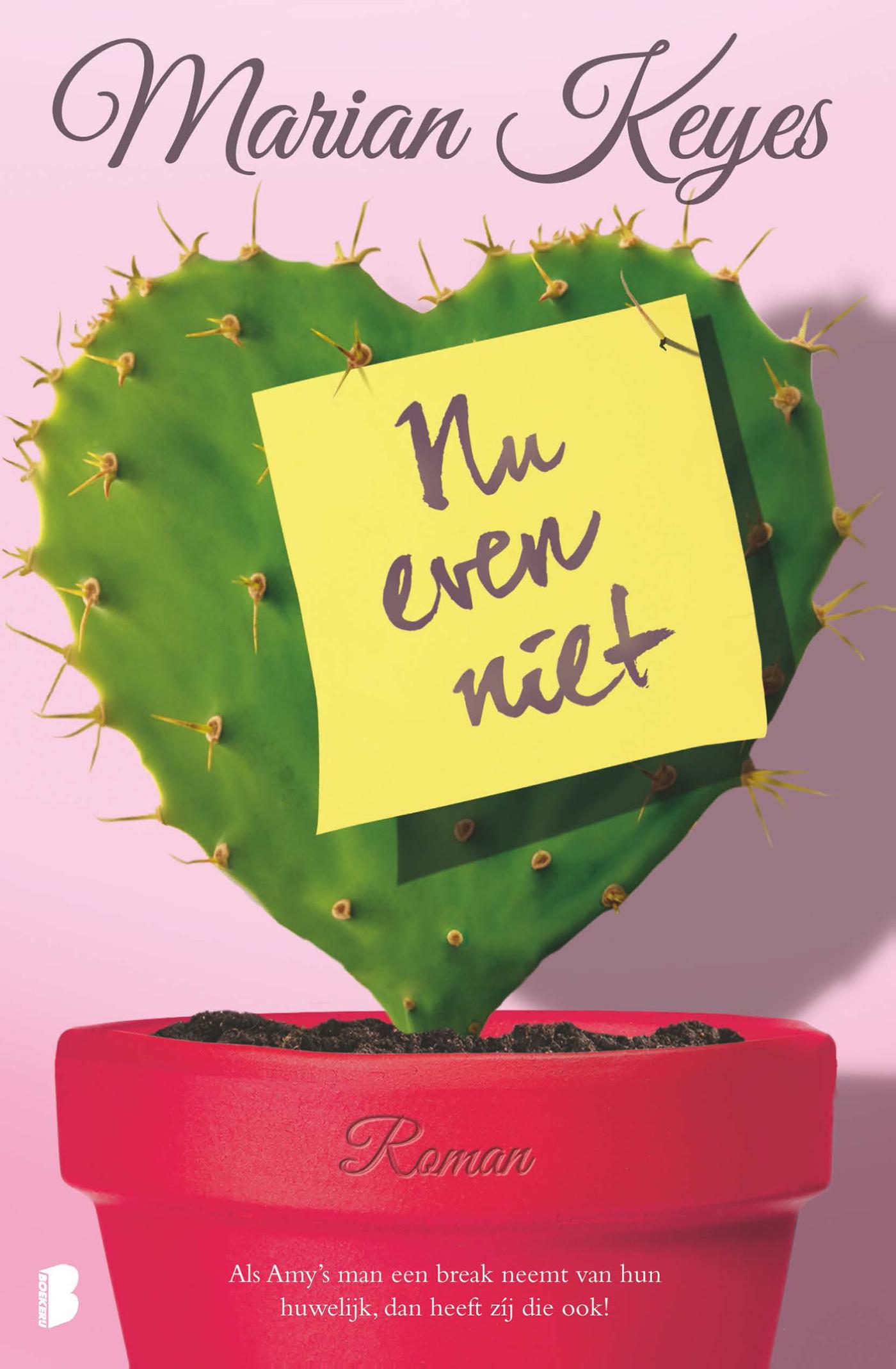 Omslag van Nu even niet