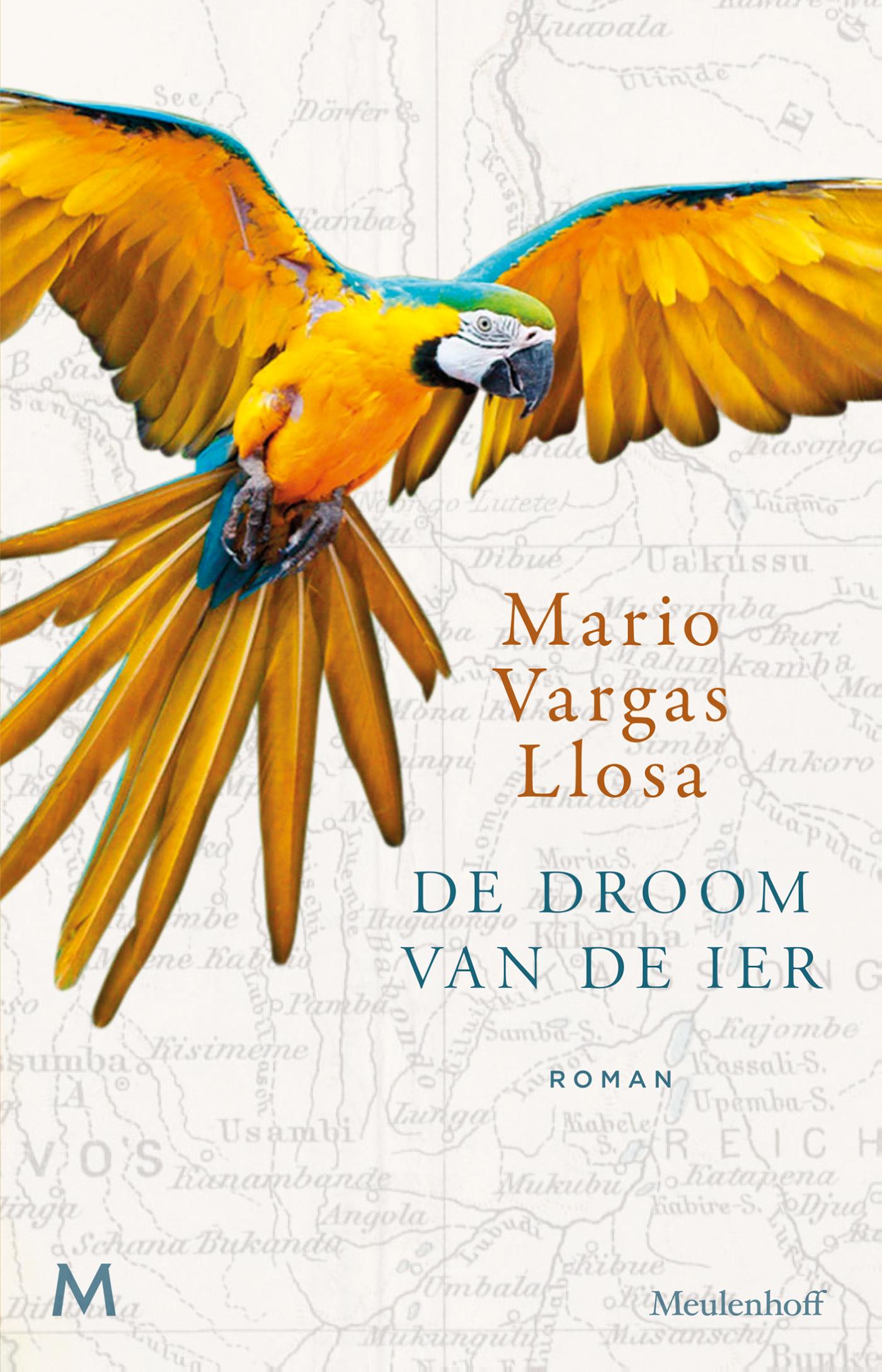 Omslag van De droom van de Ier