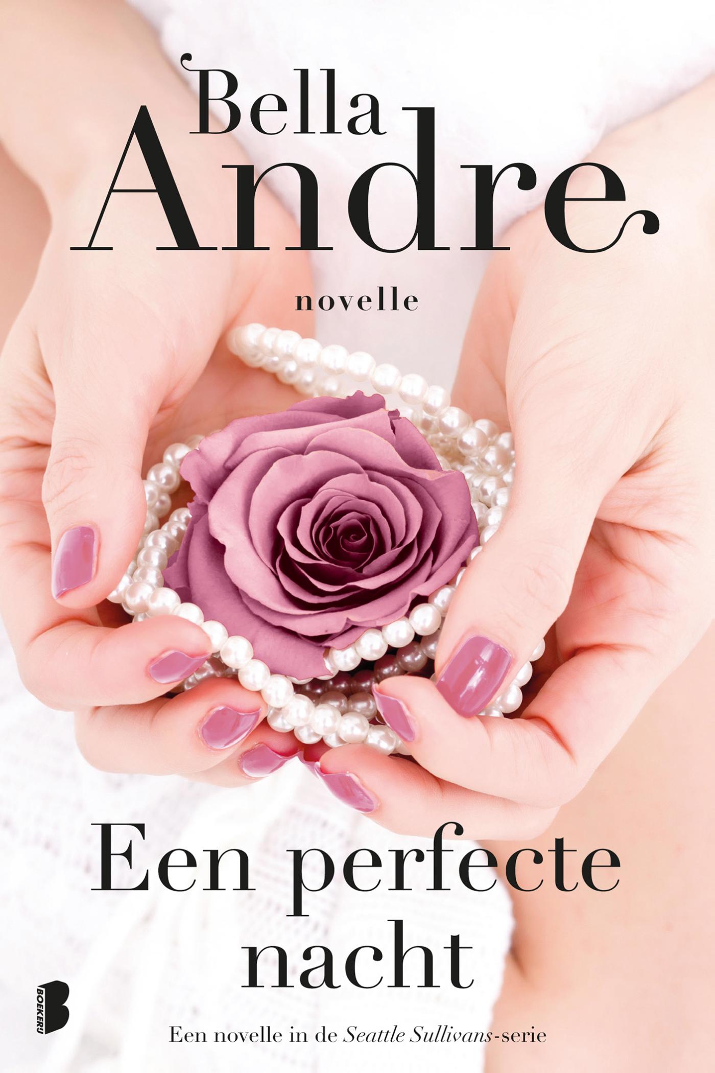 Omslag van Een perfecte nacht