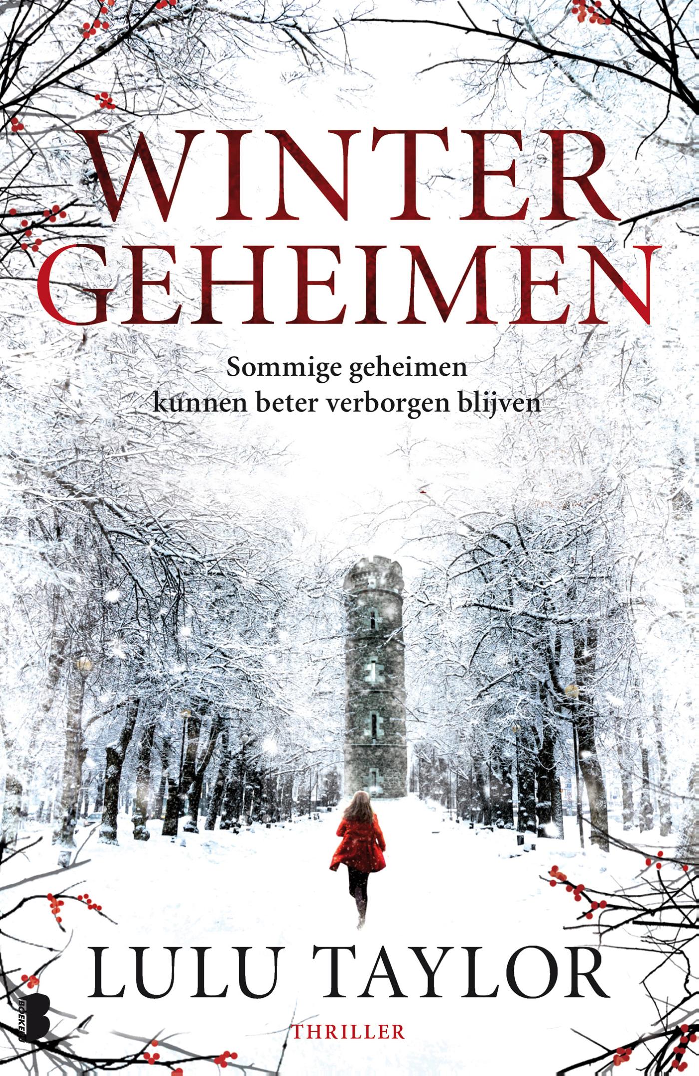 Omslag van Wintergeheimen