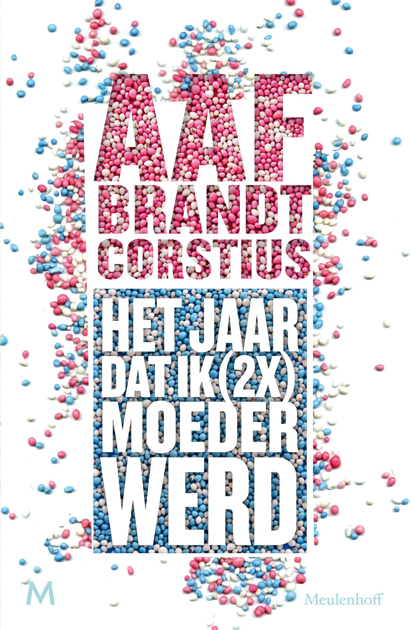 Omslag van Het jaar dat ik (2x) keer moeder werd