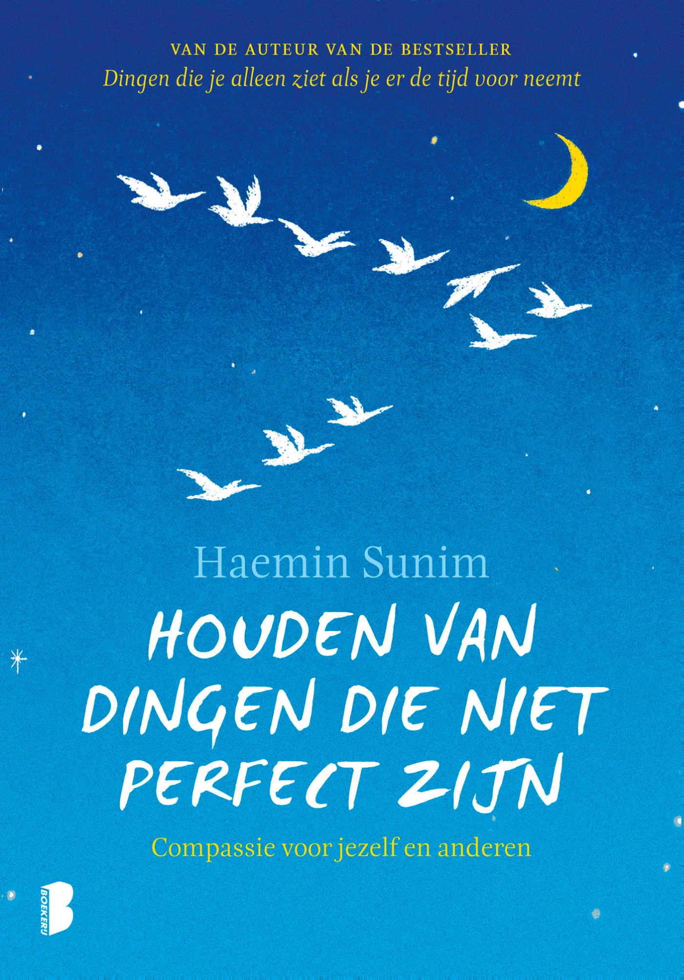 Omslag van Houden van dingen die niet perfect zijn