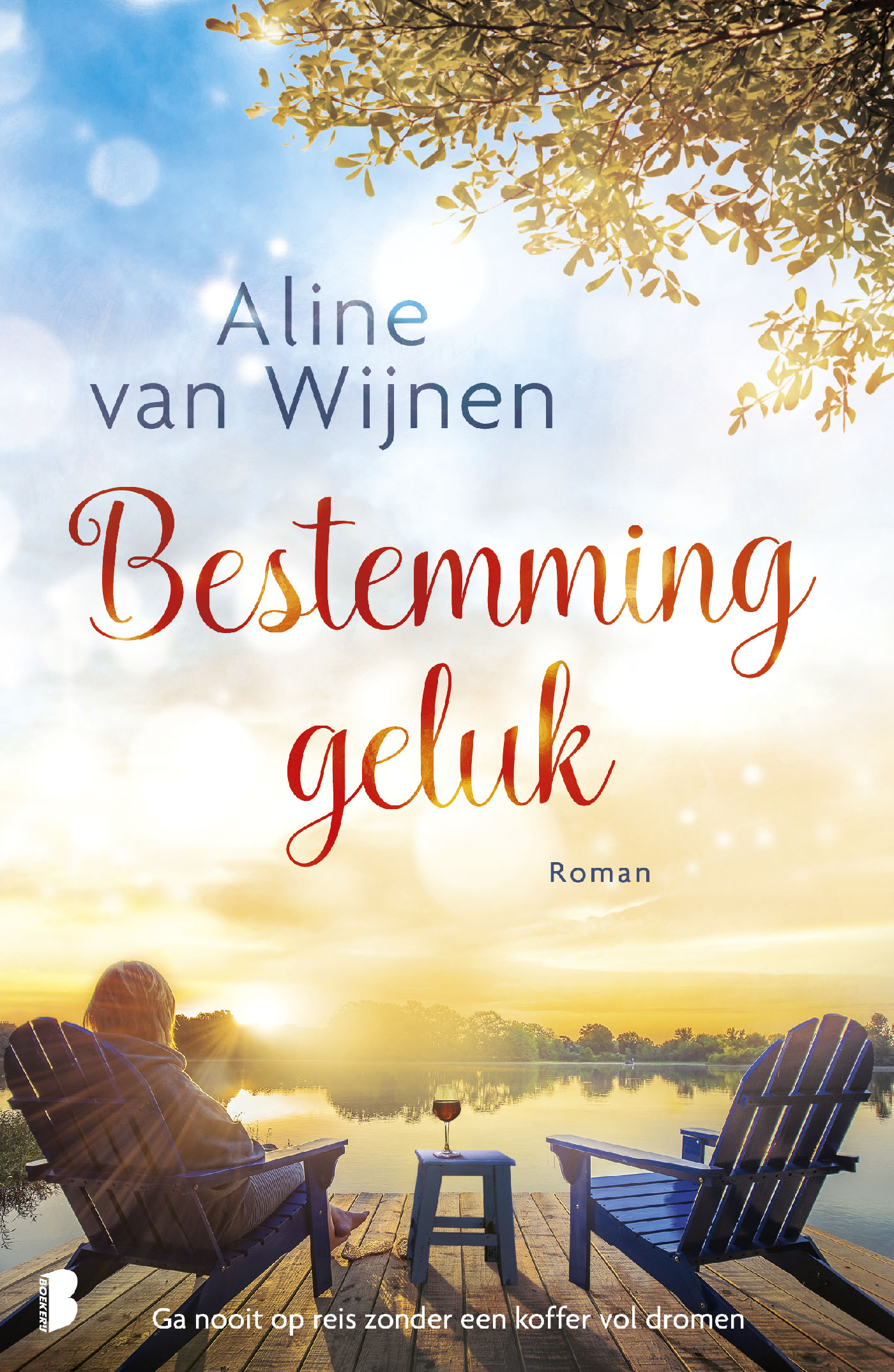 Omslag van Bestemming geluk