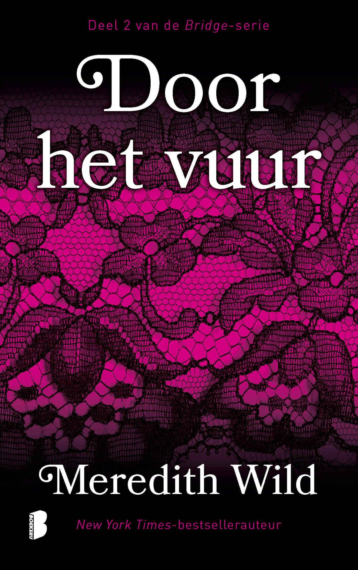 Omslag van Door het vuur