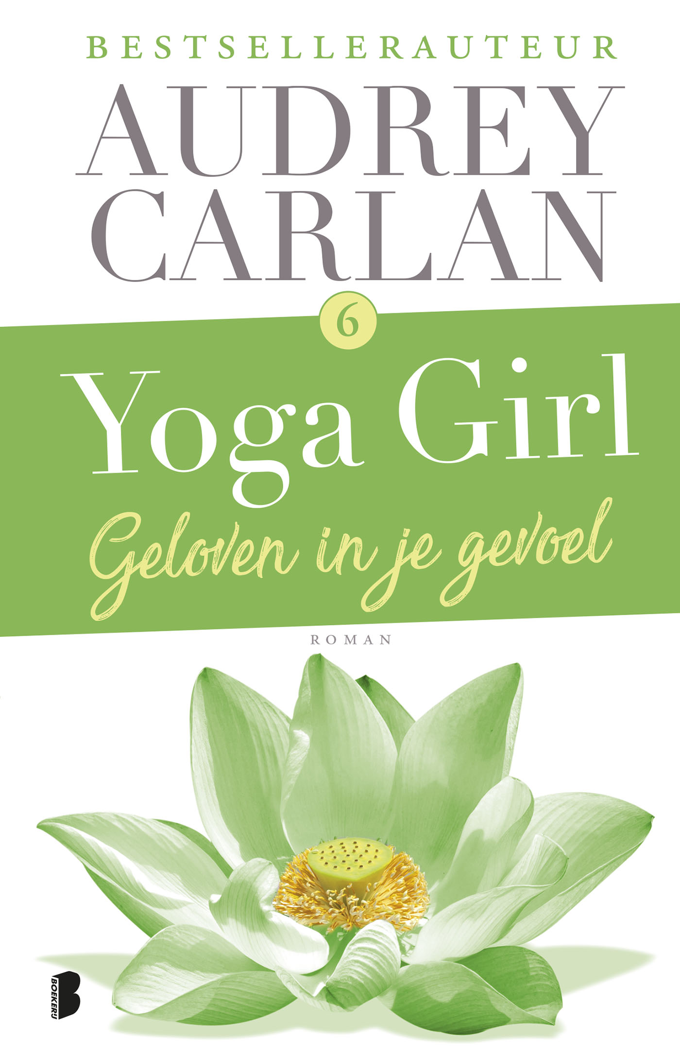 Omslag van Geloven in je gevoel