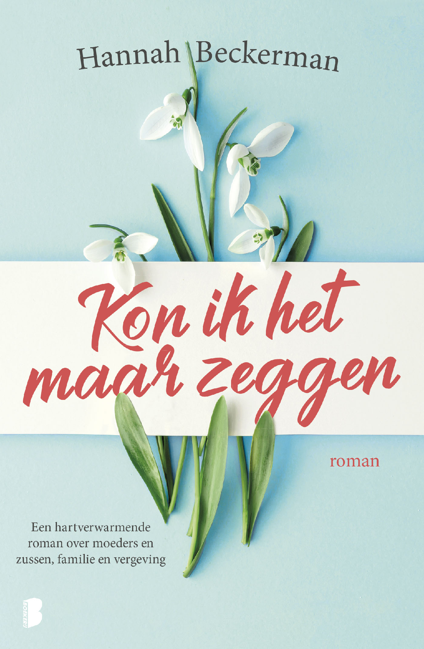 Omslag van Kon ik het maar zeggen
