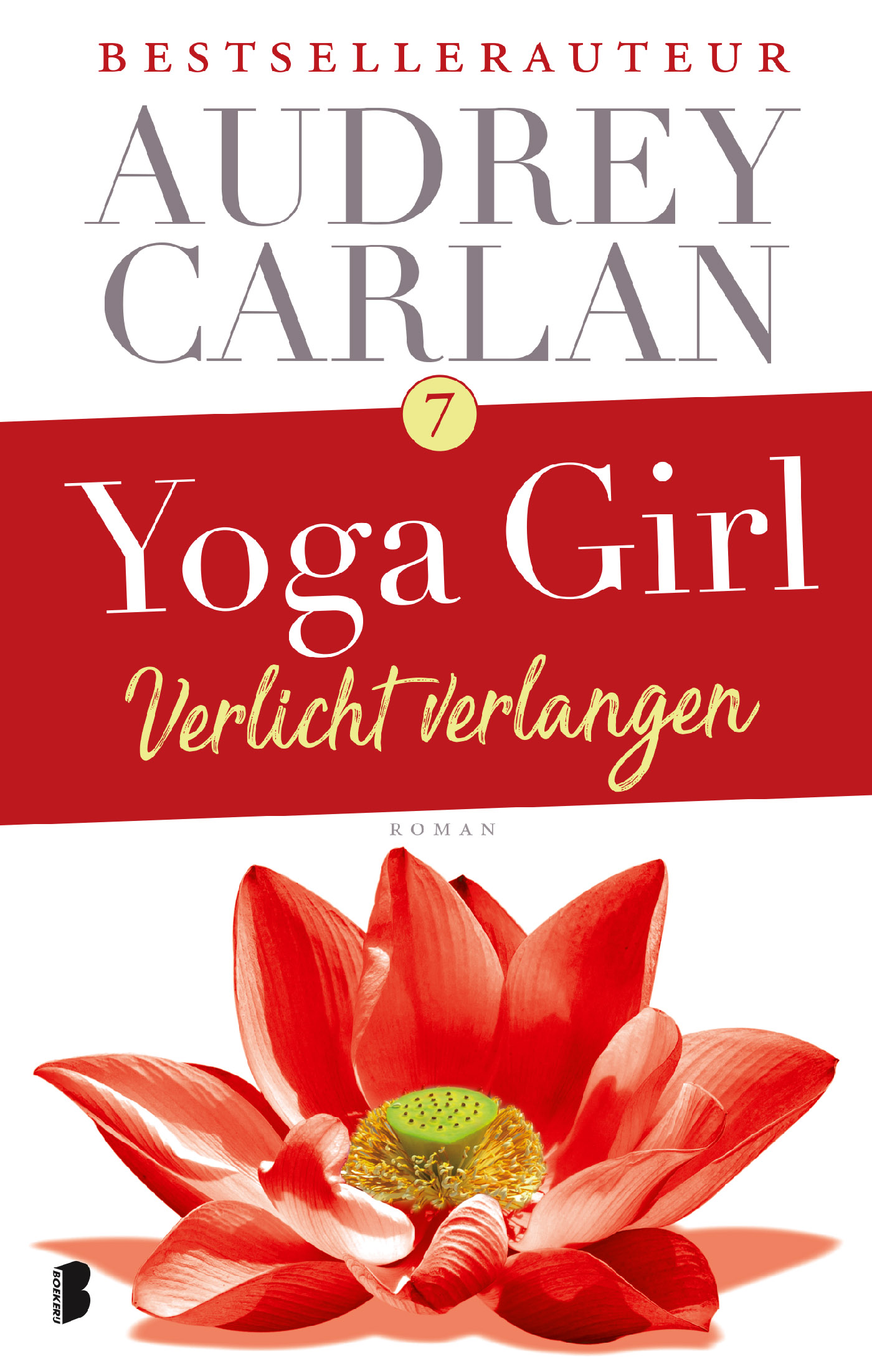 Omslag van Verlicht verlangen
