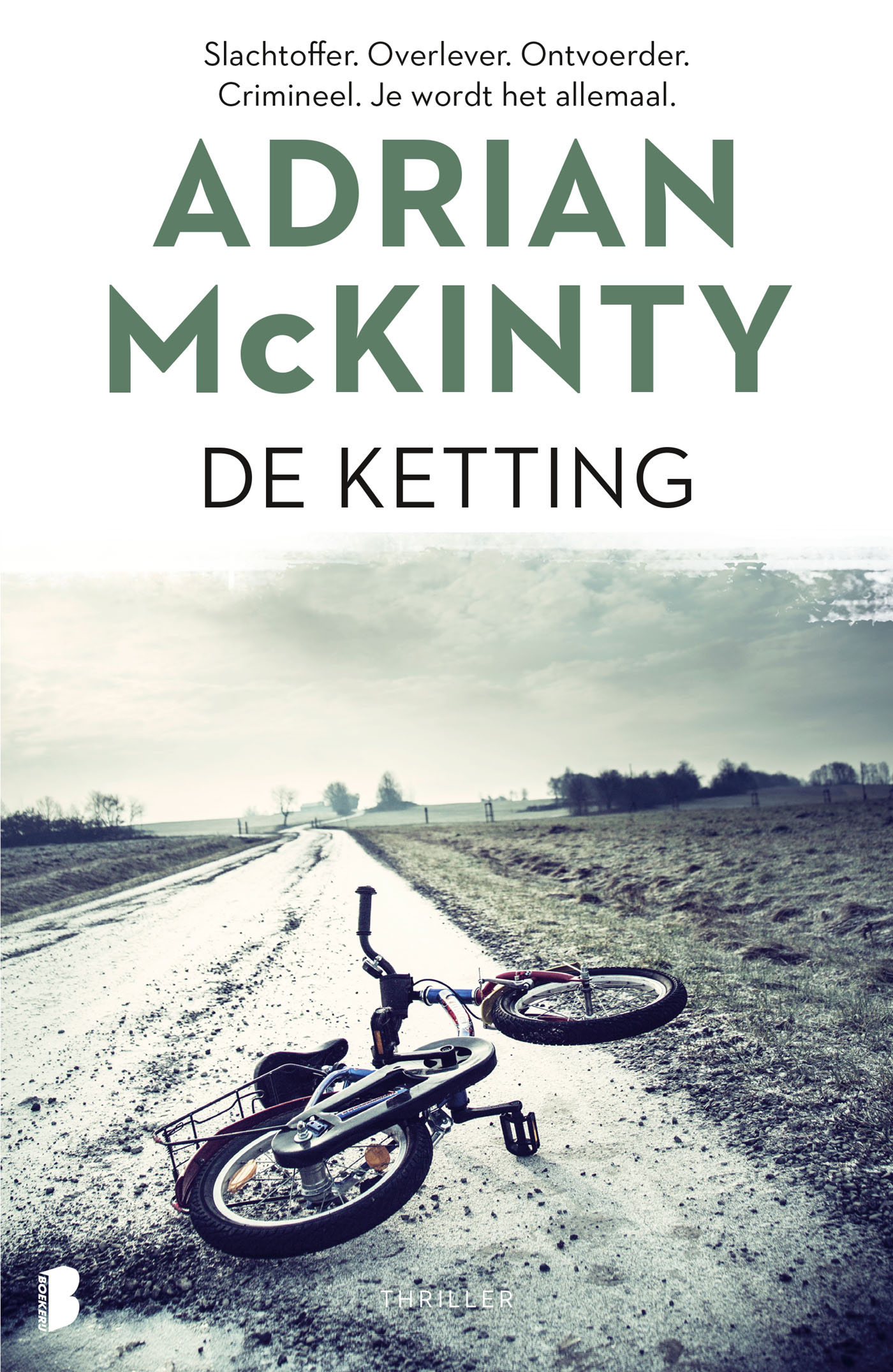 Omslag van De ketting