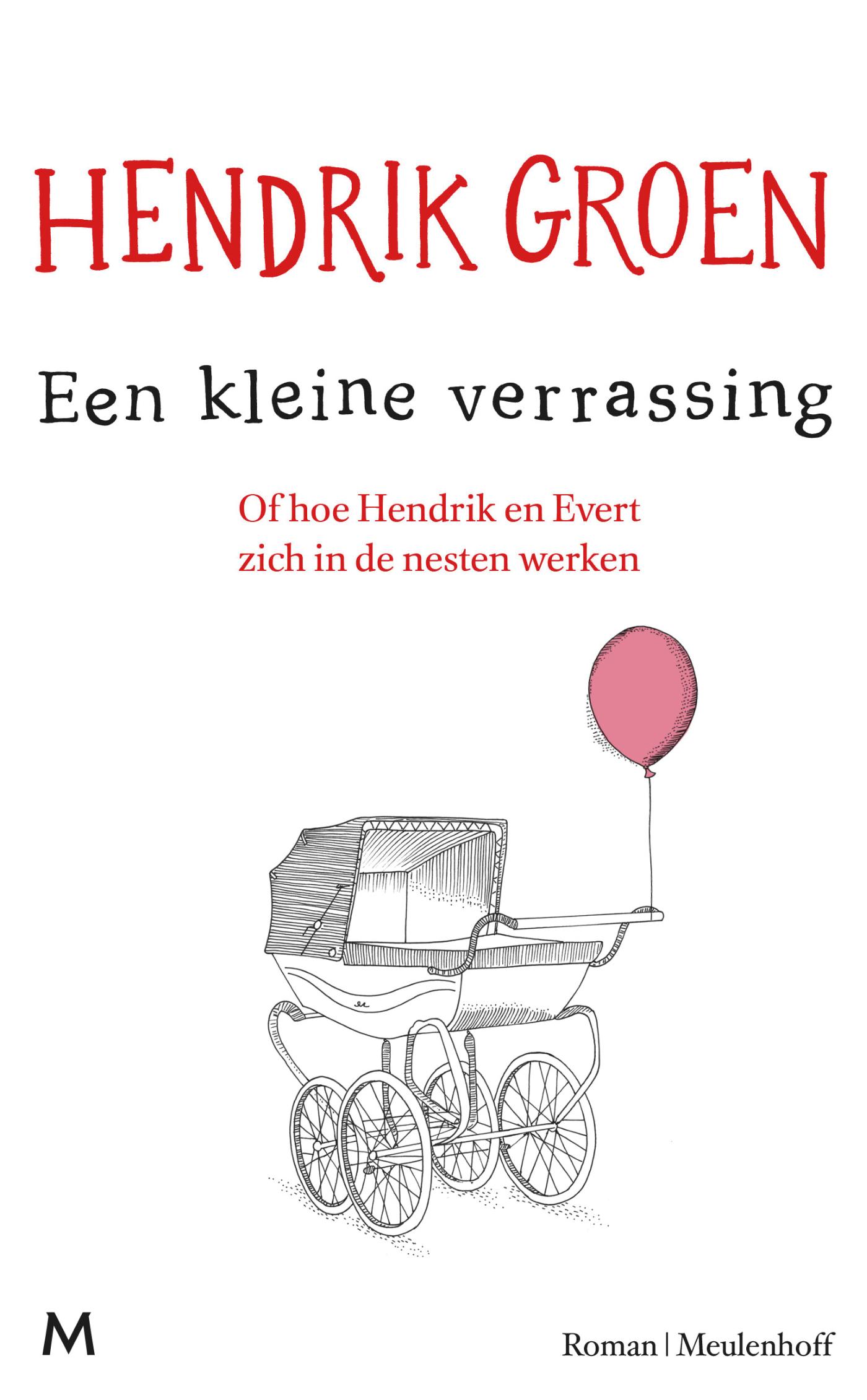 Omslag van Een kleine verrassing