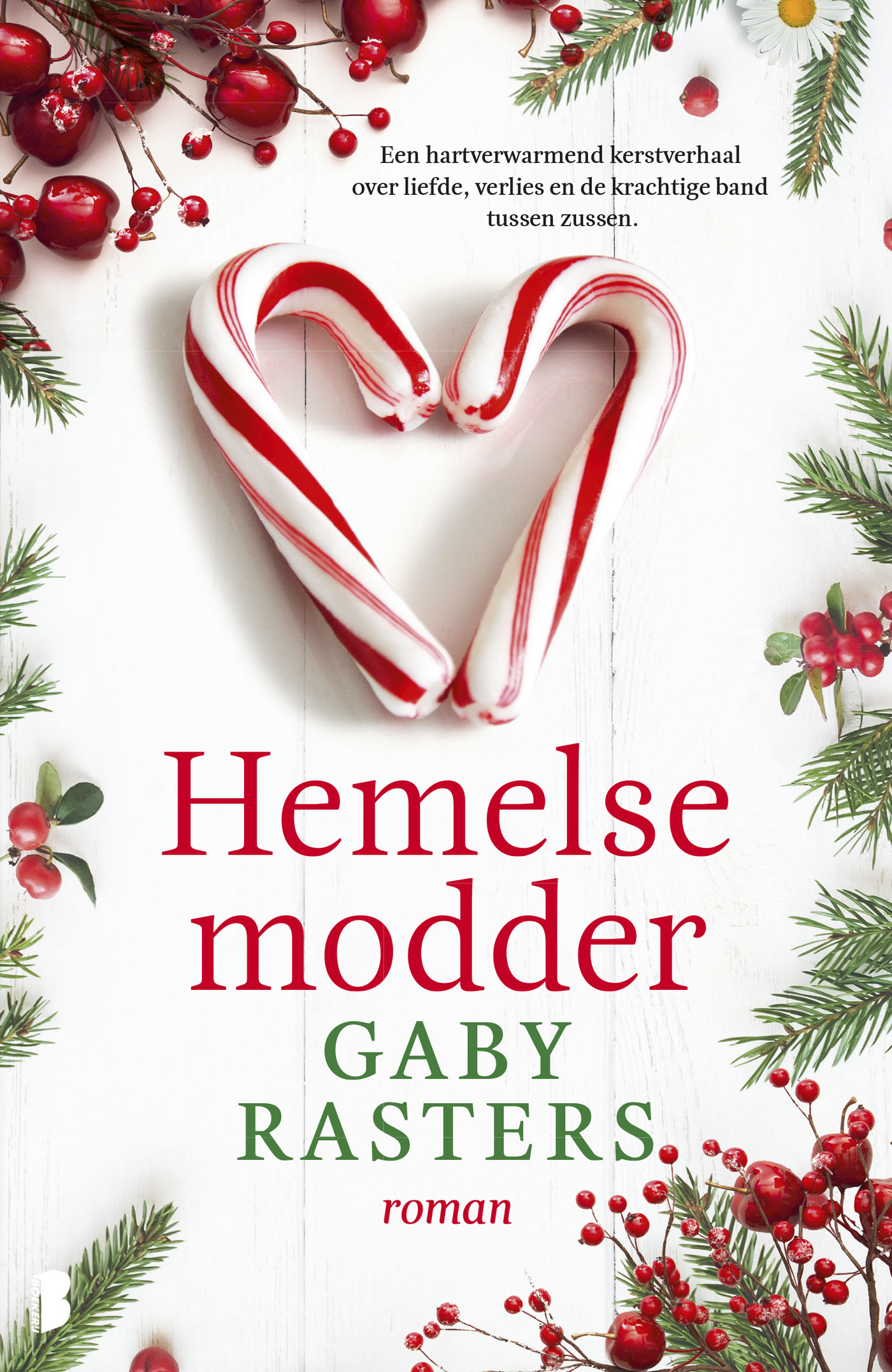 Omslag van Hemelse modder
