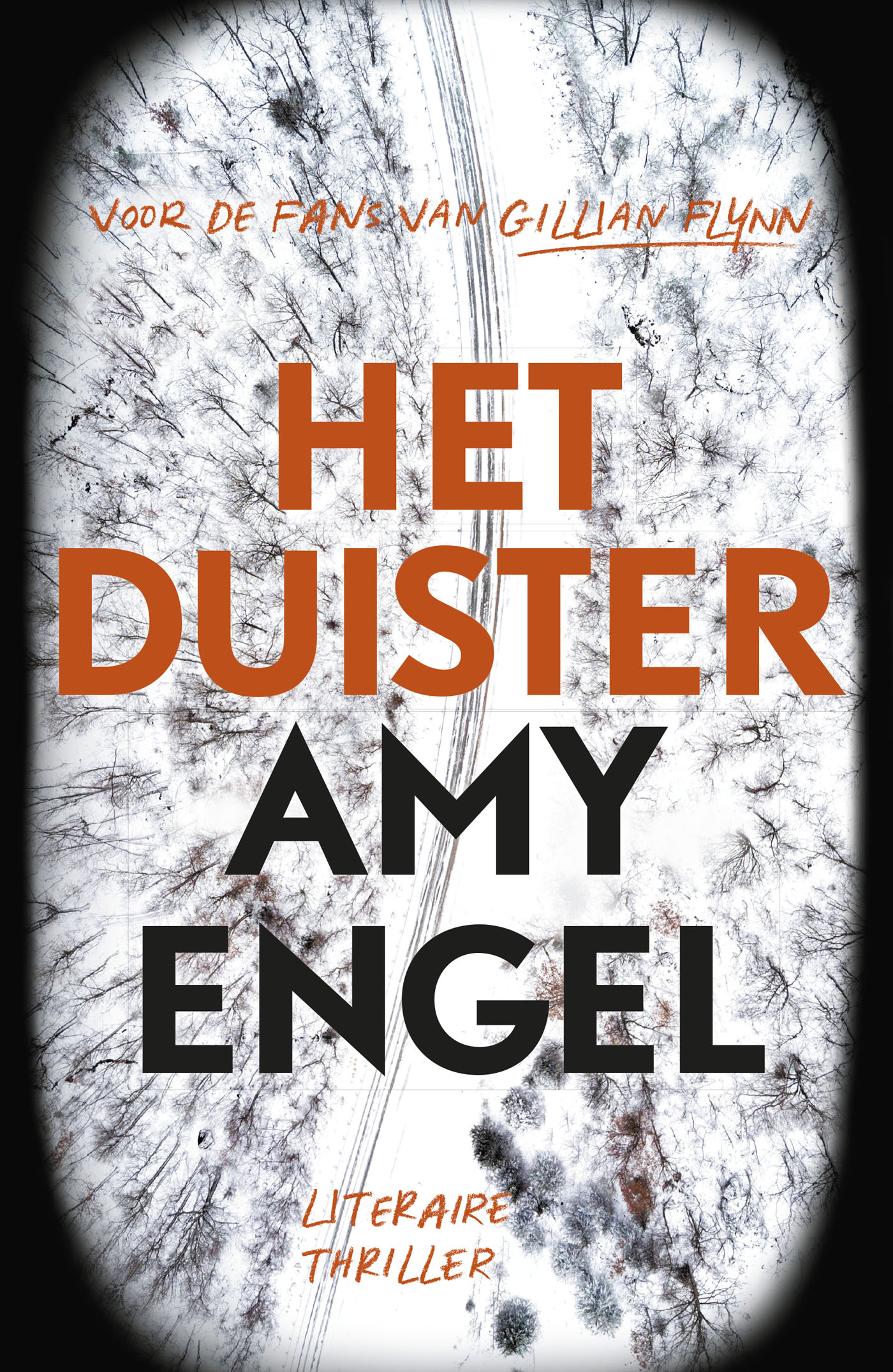 Omslag van Het duister