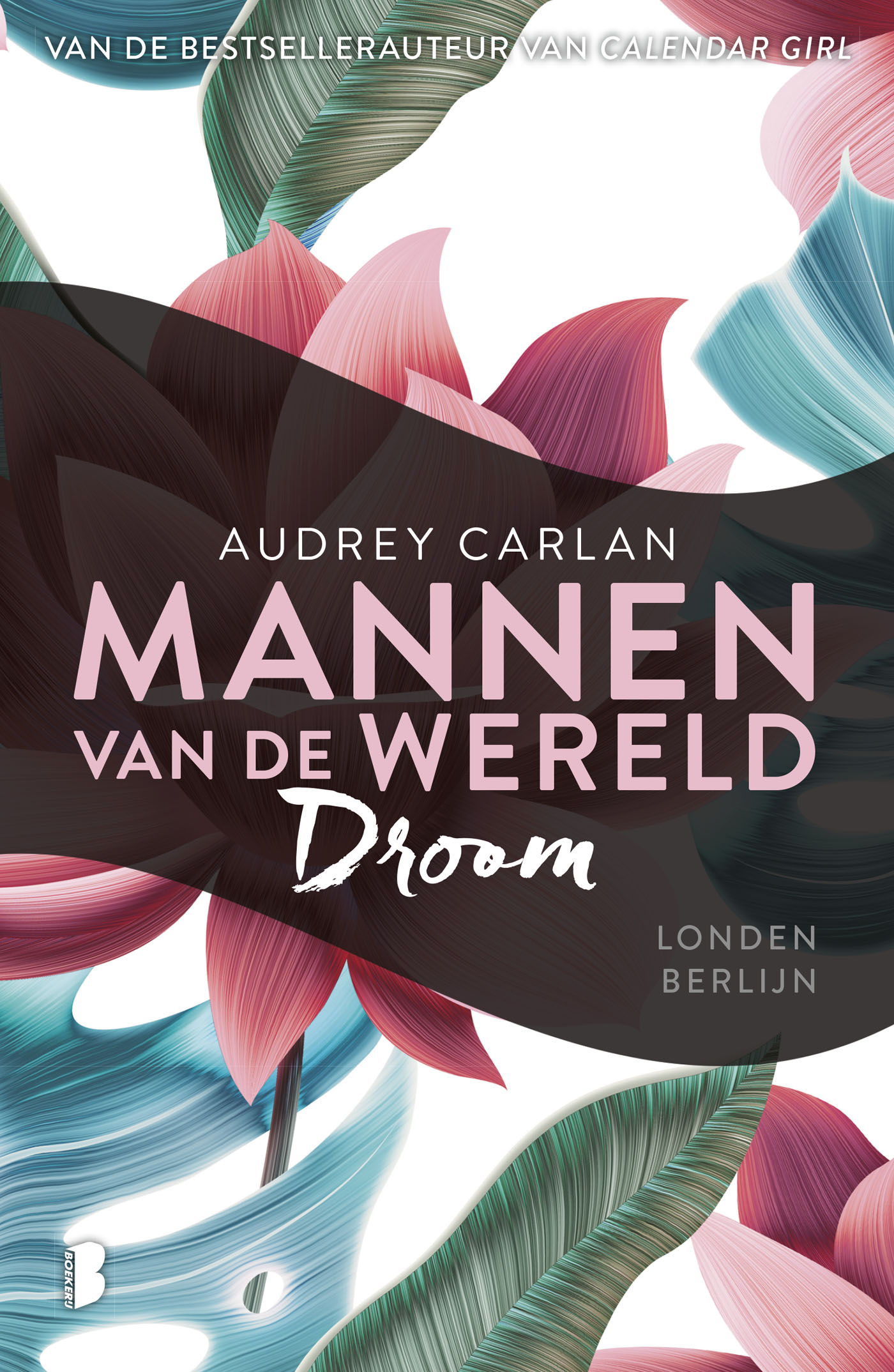 Omslag van Droom