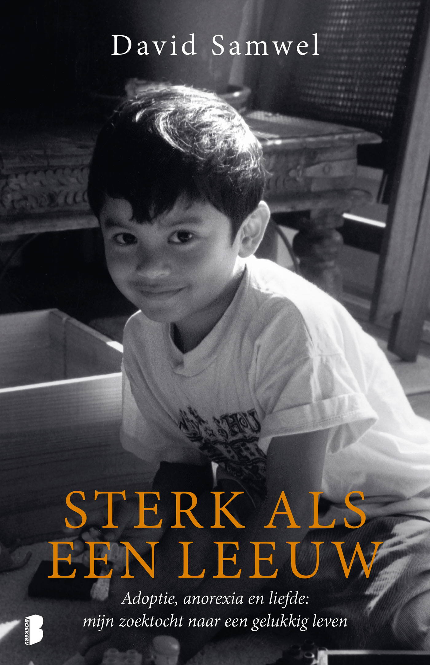 Omslag van Sterk als een leeuw