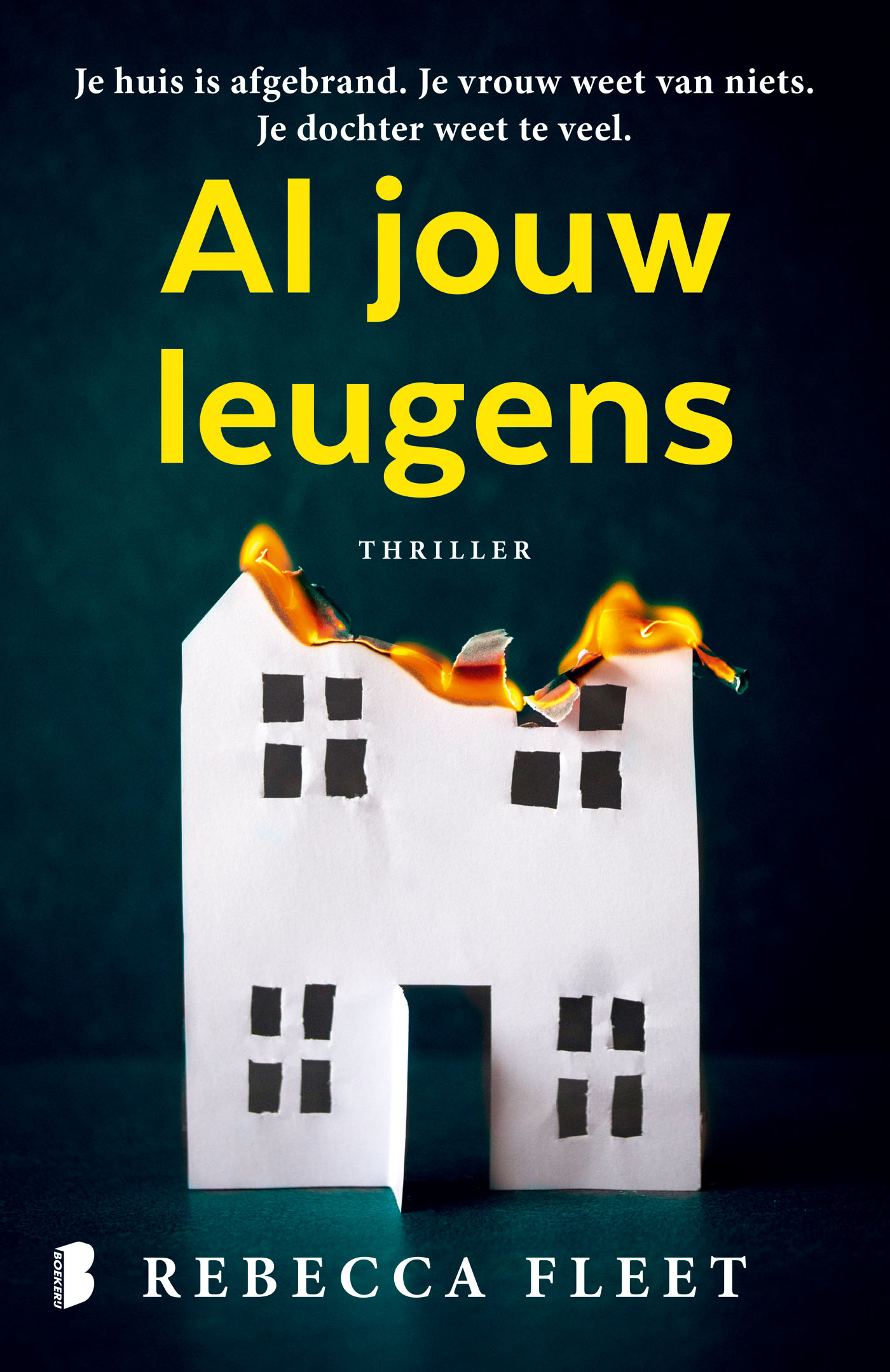 Omslag van Al jouw leugens