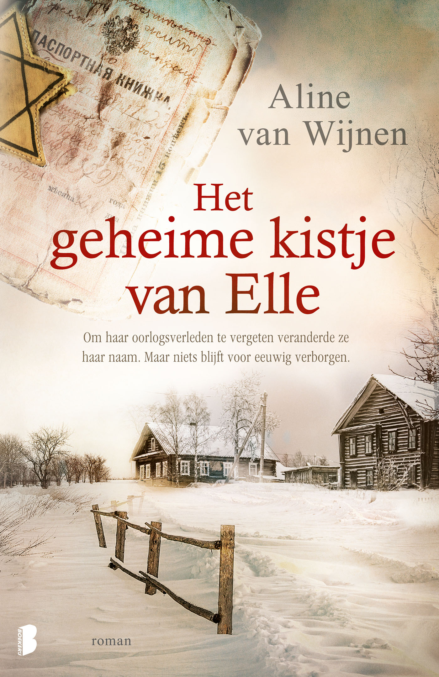 Omslag van Het geheime kistje van Elle