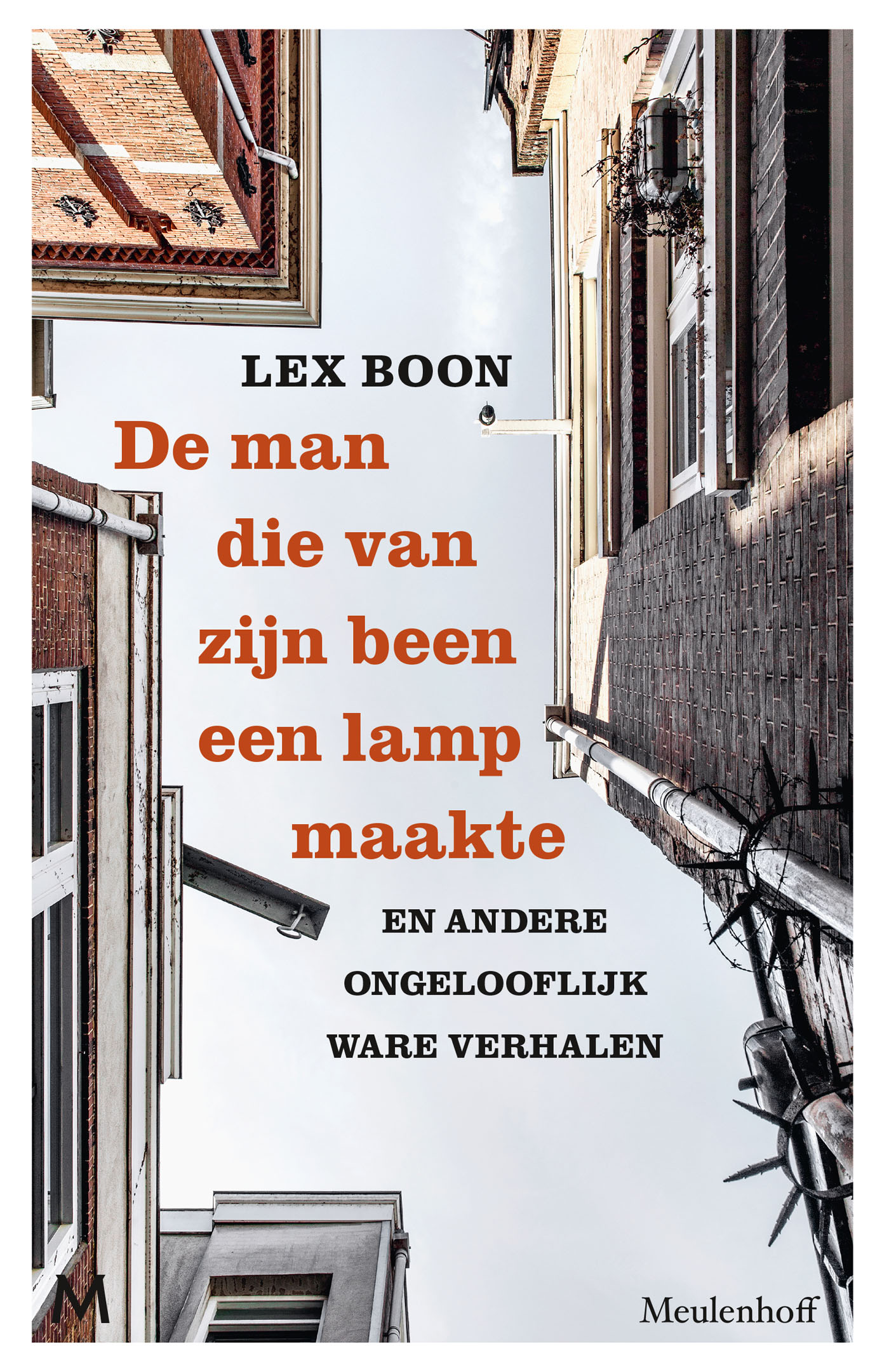 Omslag van De man die van zijn been een lamp maakte