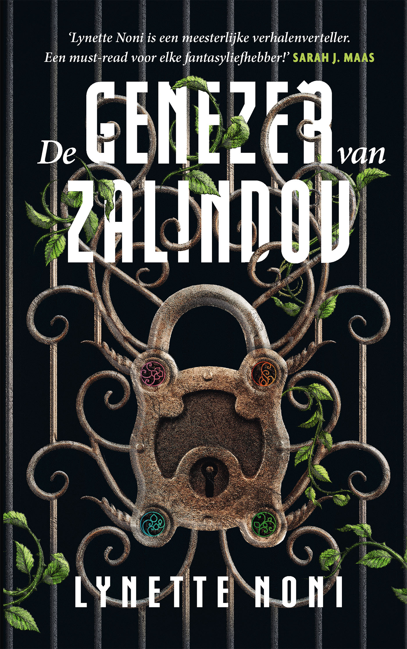 Omslag van De genezer van Zalindov