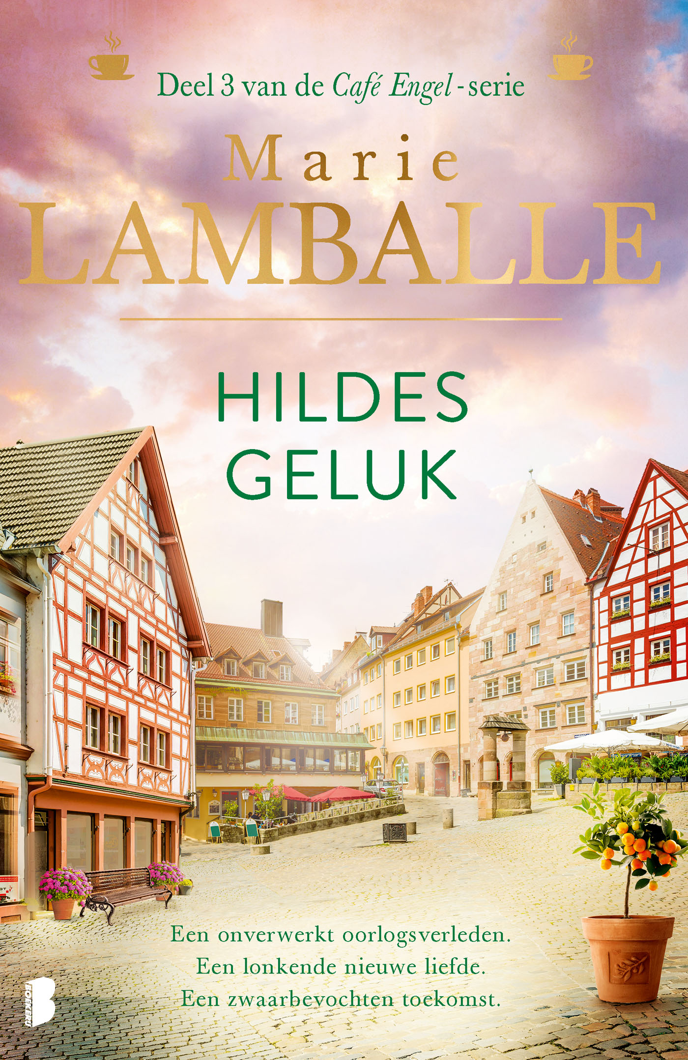 Omslag van Hildes geluk