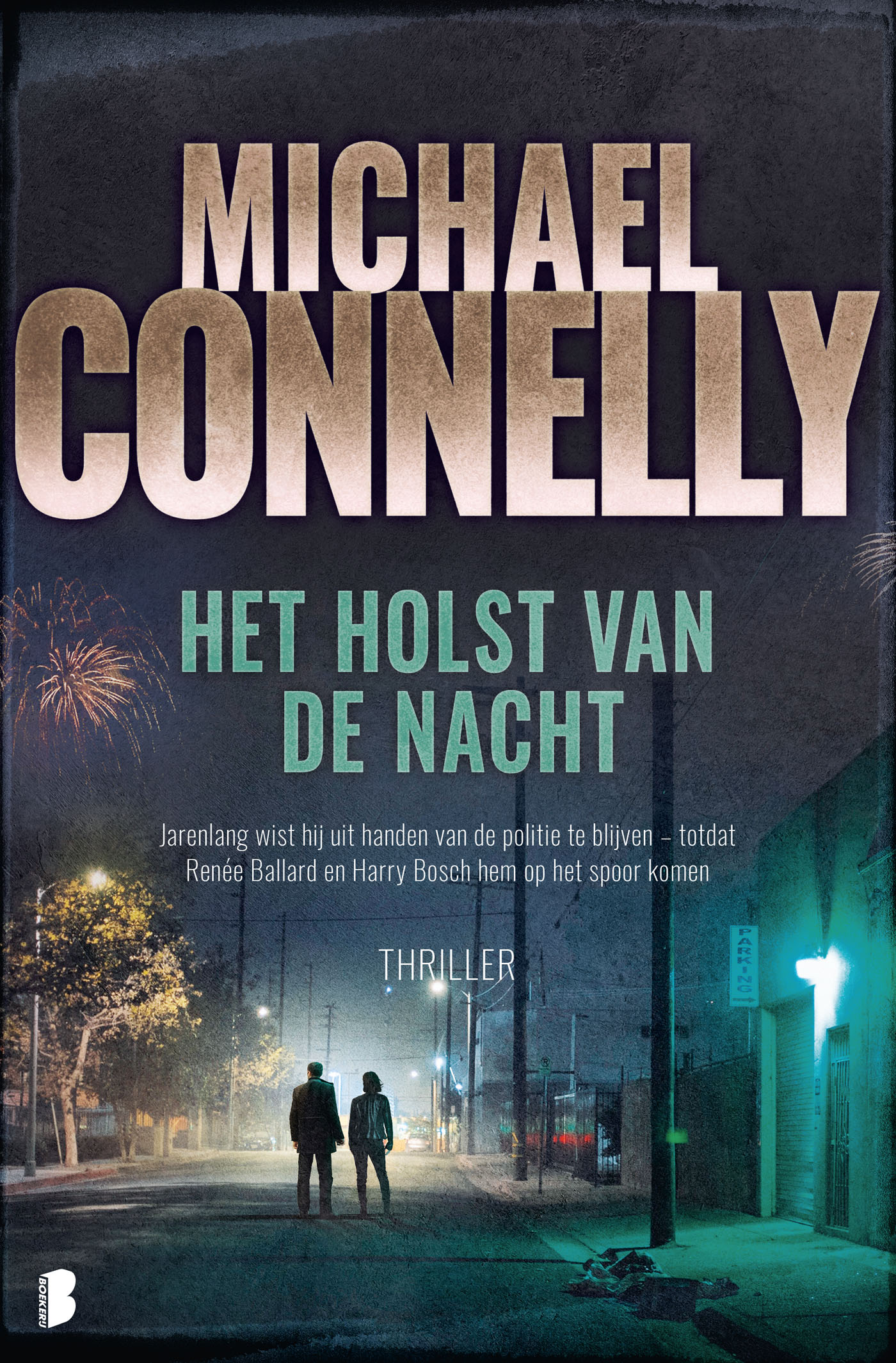 Omslag van Het holst van de nacht