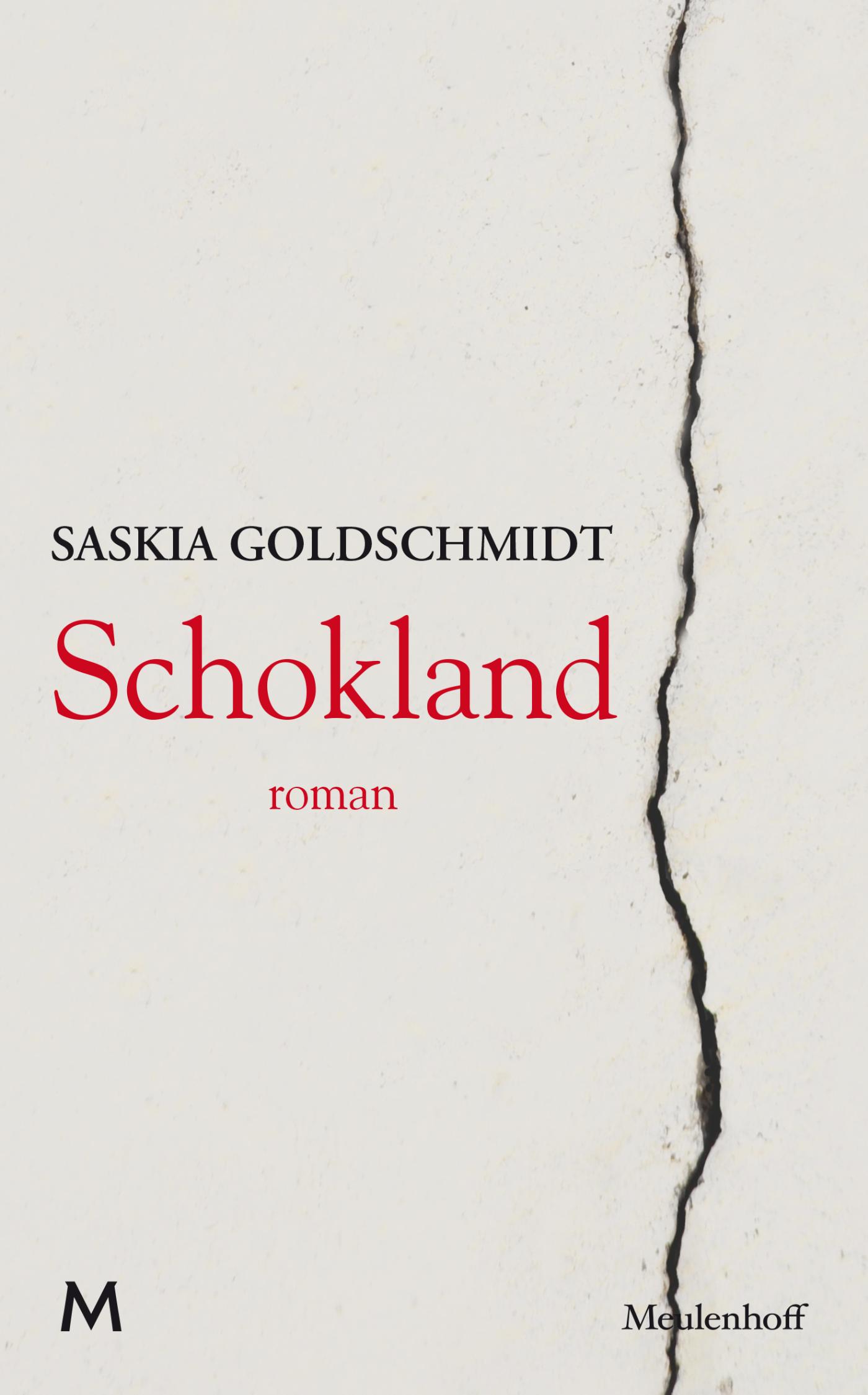 Omslag van Schokland