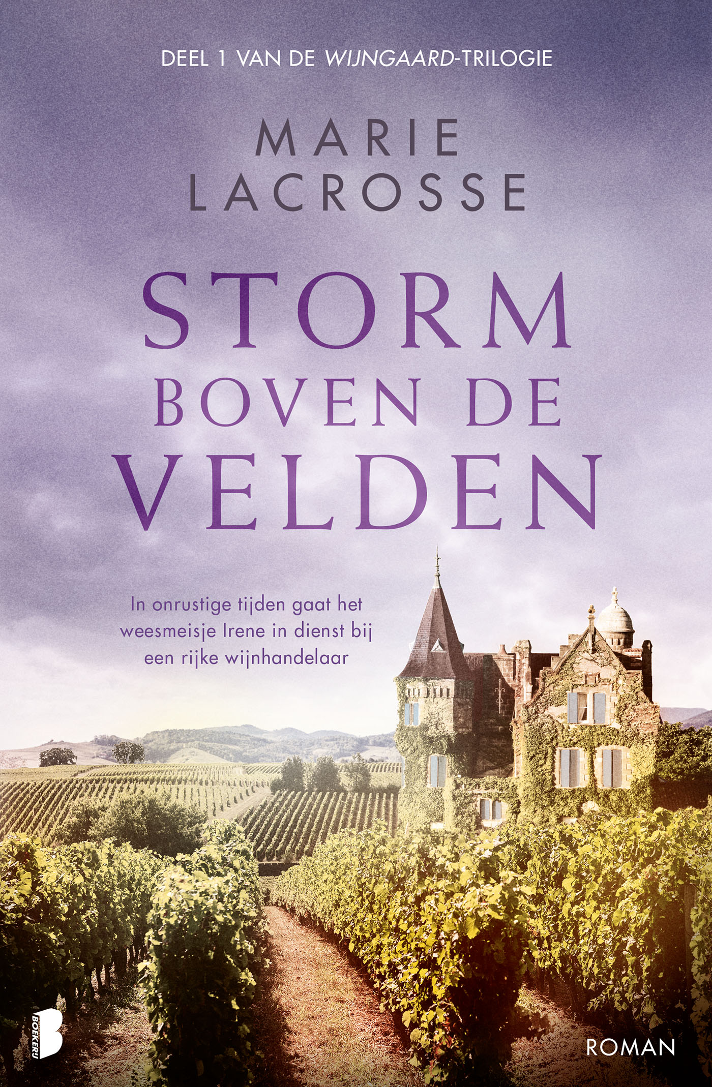 Omslag van Storm boven de velden
