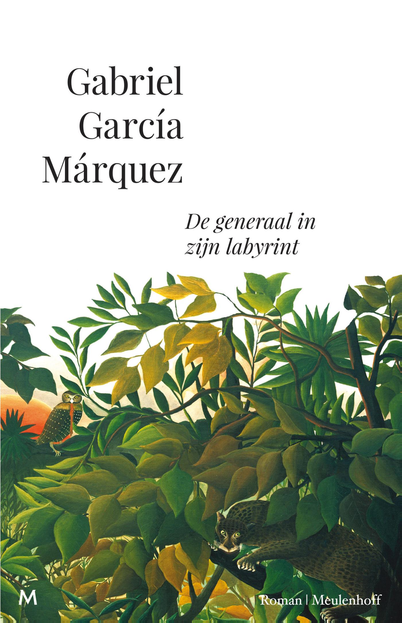 Omslag van De generaal in zijn labyrint