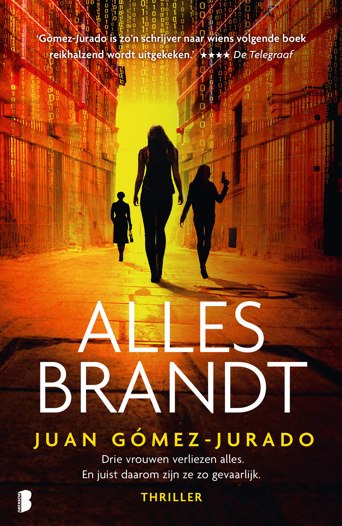 Omslag van Alles brandt