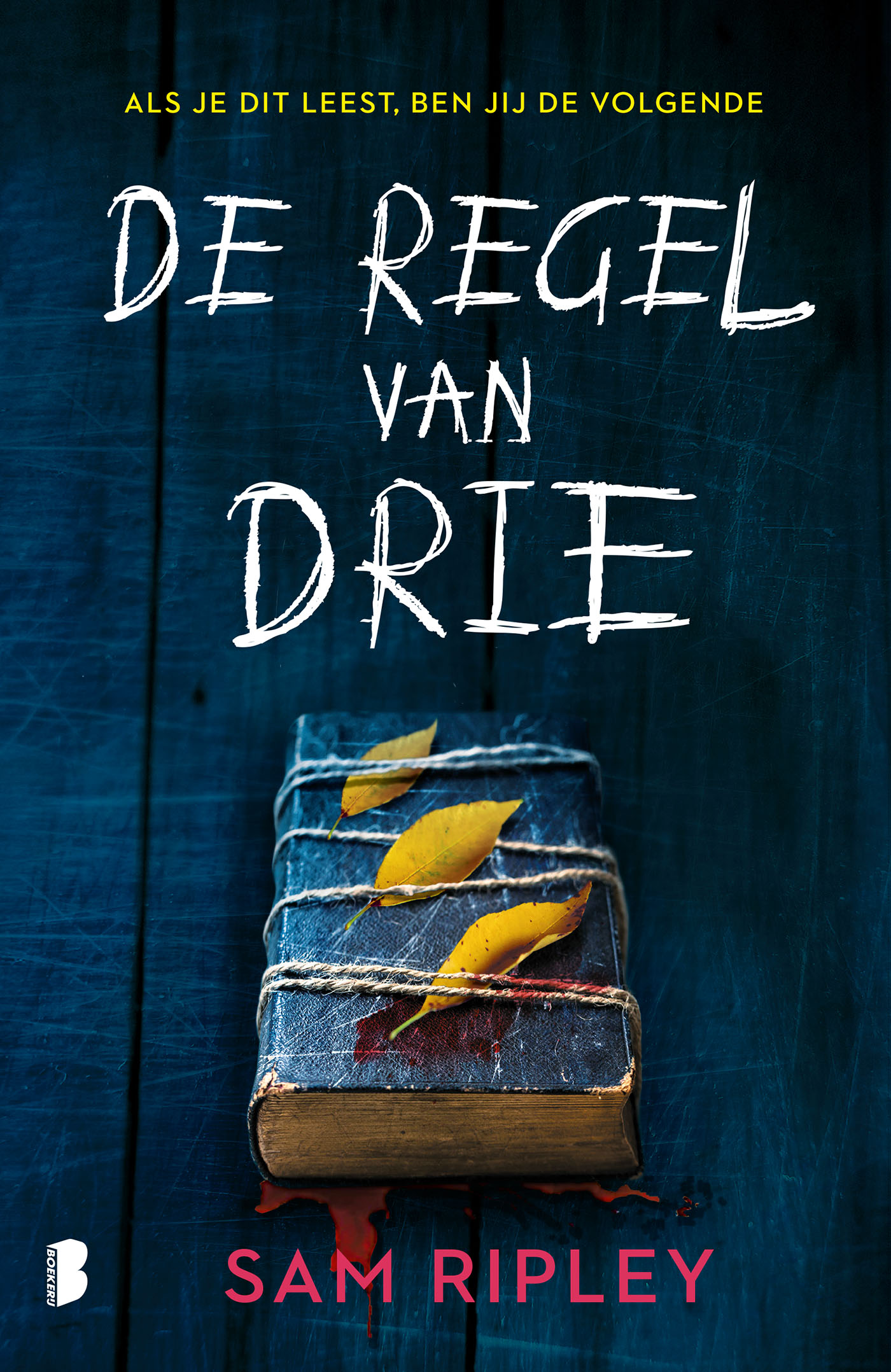 Omslag van De regel van drie