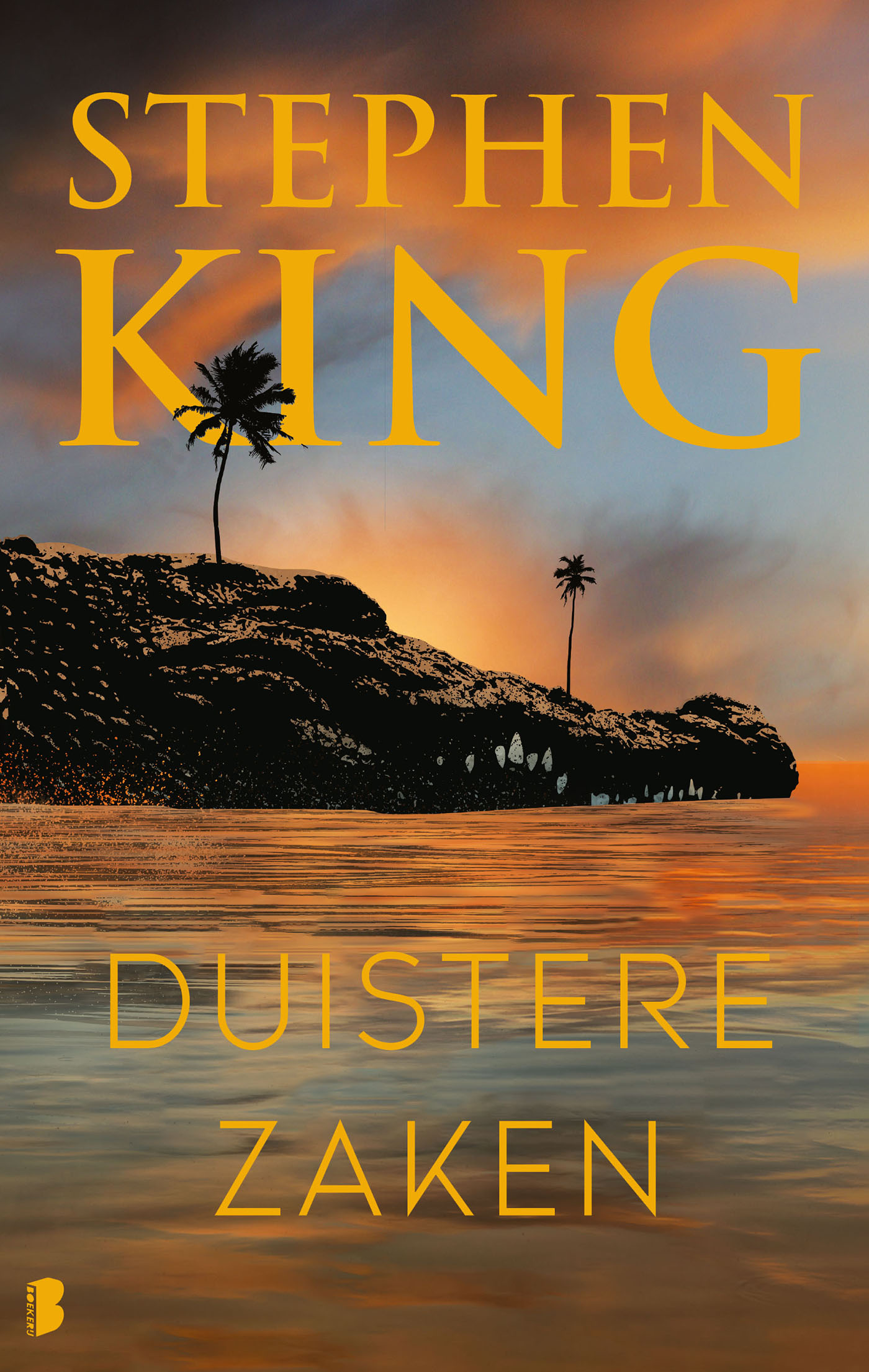 Omslag van Duistere zaken