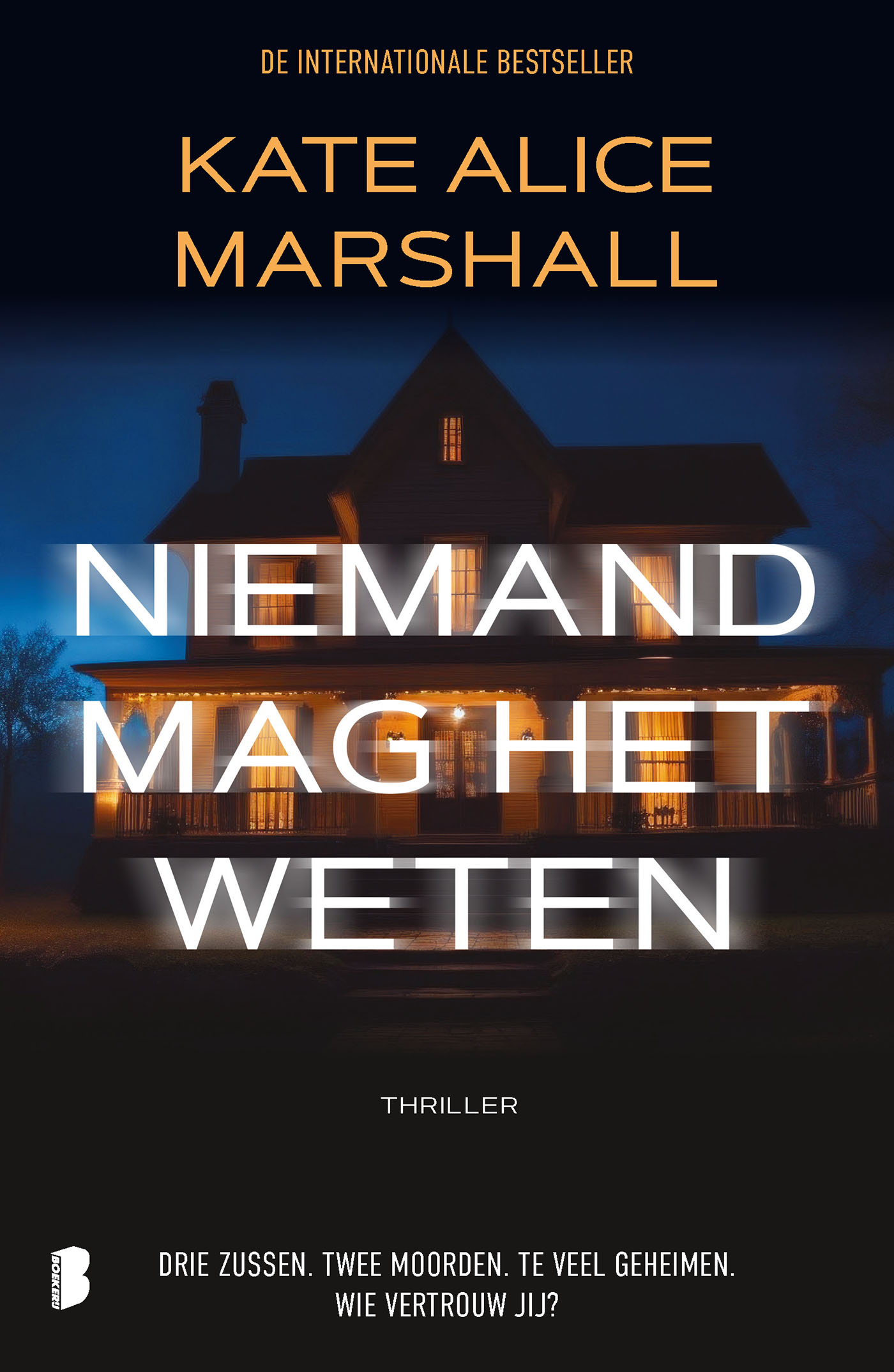 Omslag van Niemand mag het weten