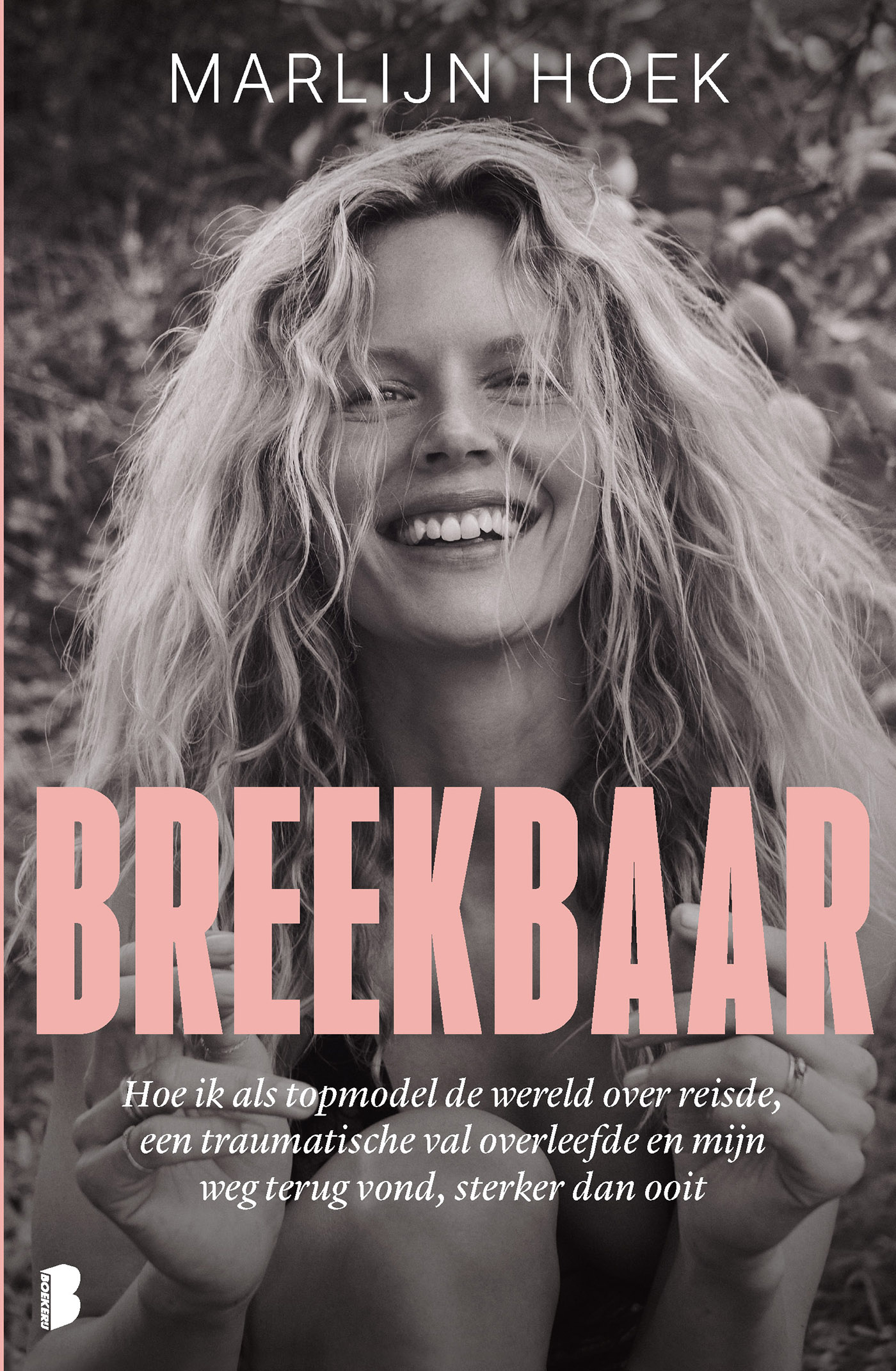 Omslag van Breekbaar