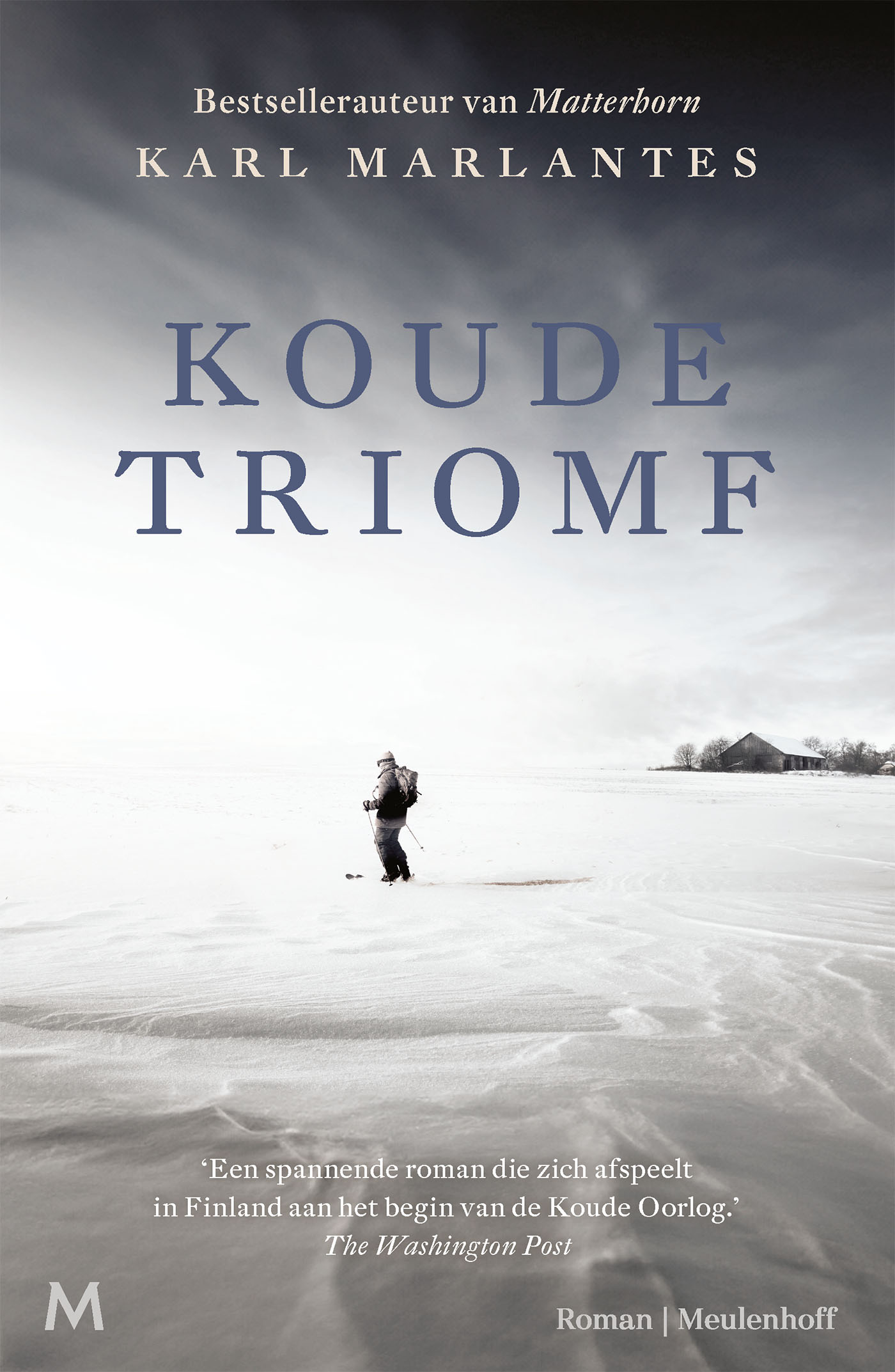 Omslag van Koude triomf